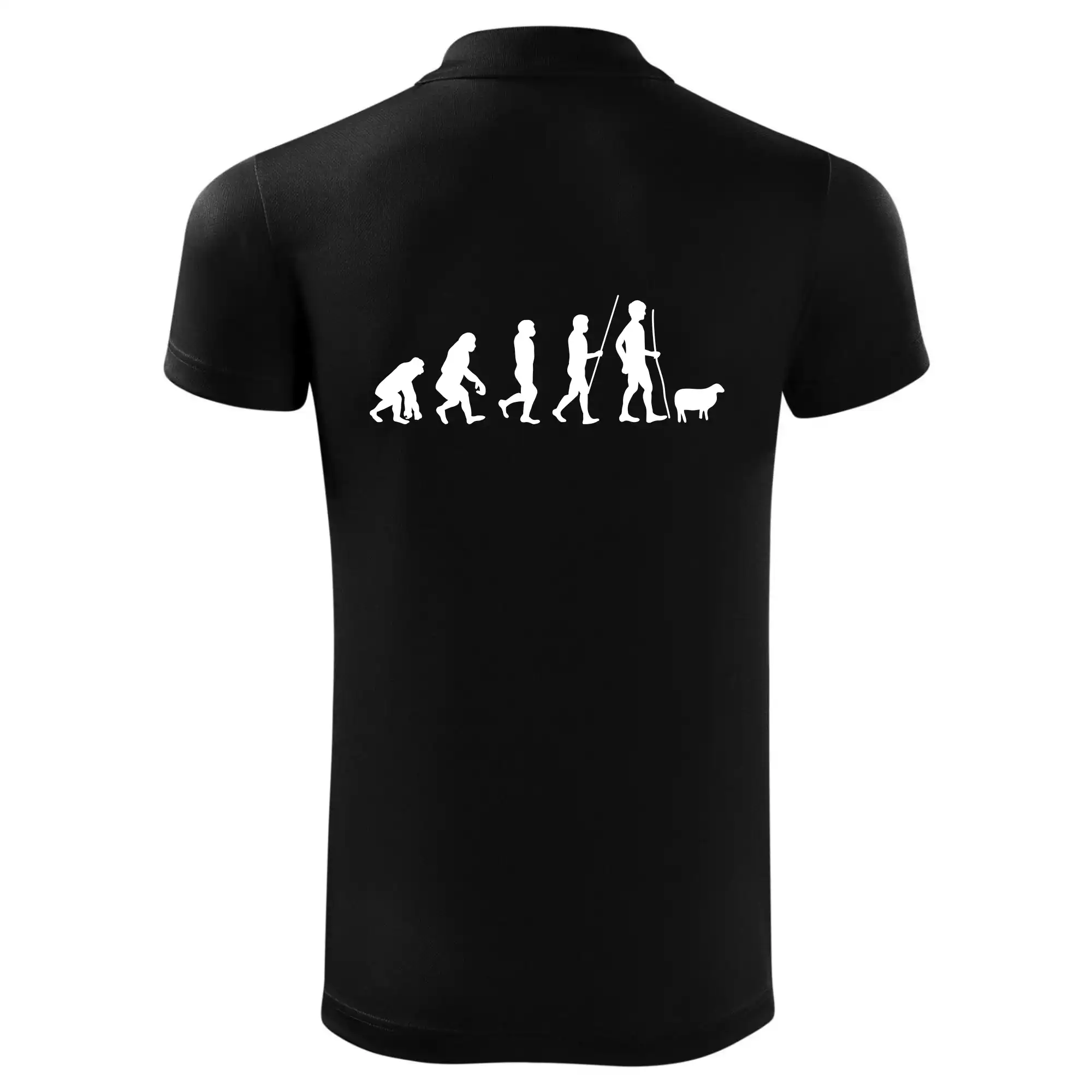 Evoluce pastevec ovcí