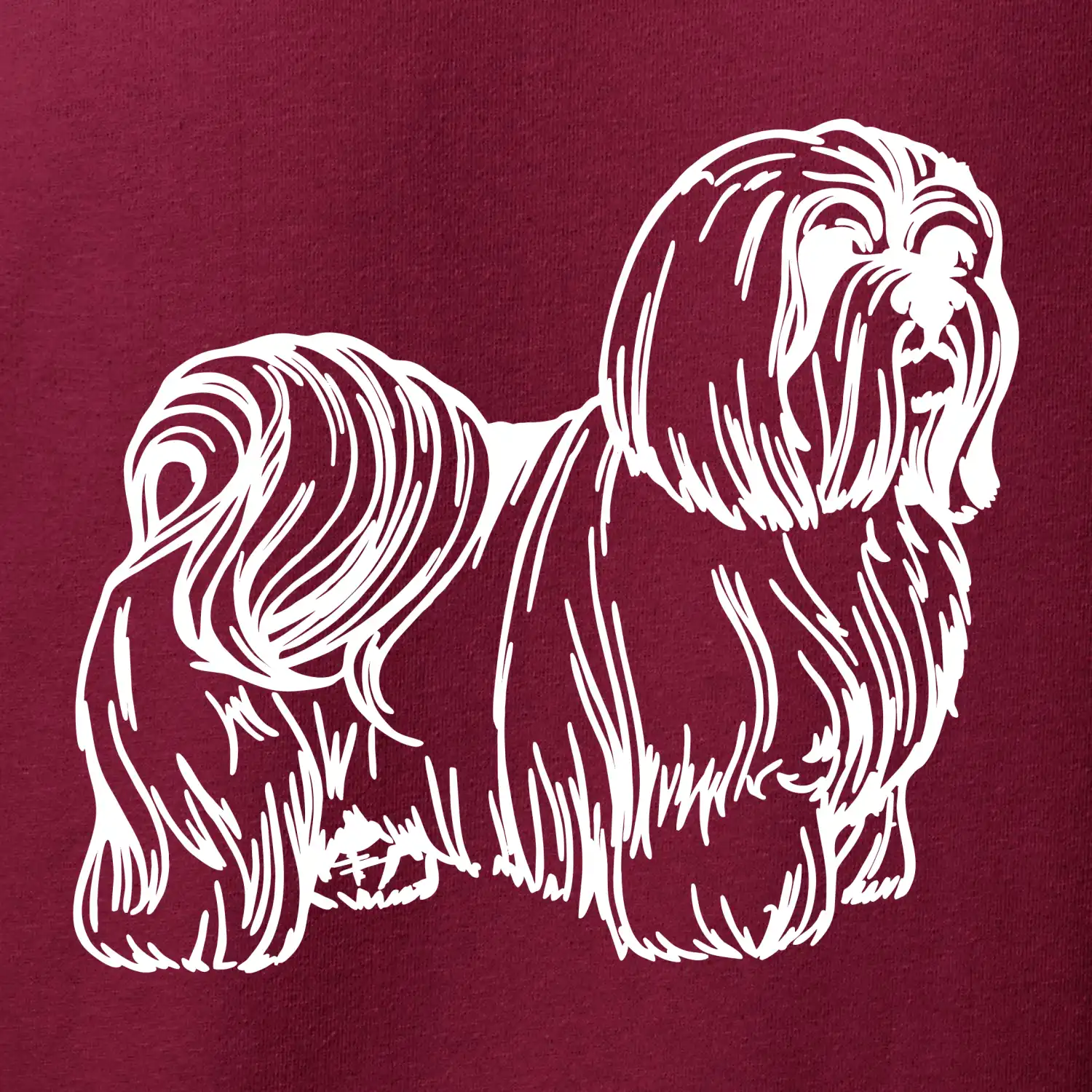 Shih-tzu - chlupatý