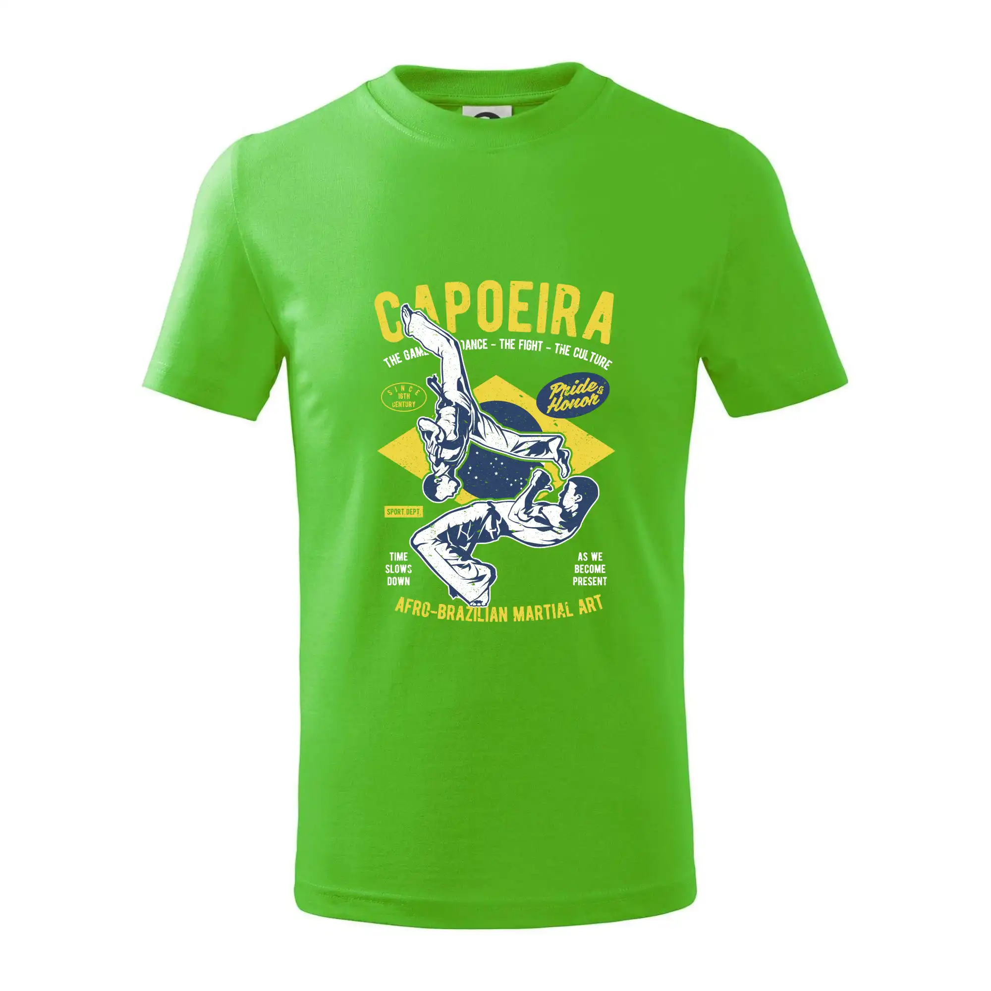 Capoeira  Afro-brazil art
