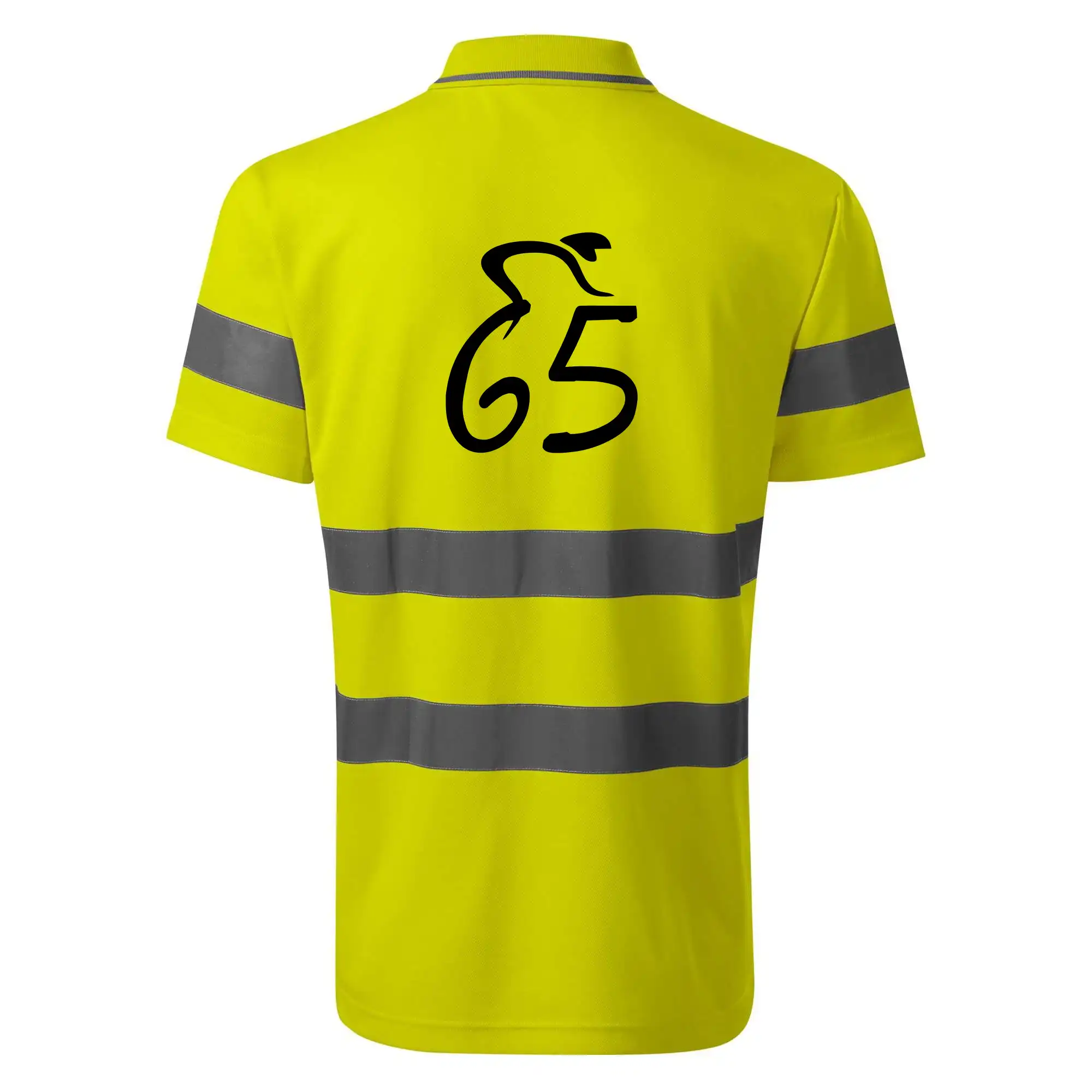 Cyklista slaví pětašedesátku (65)