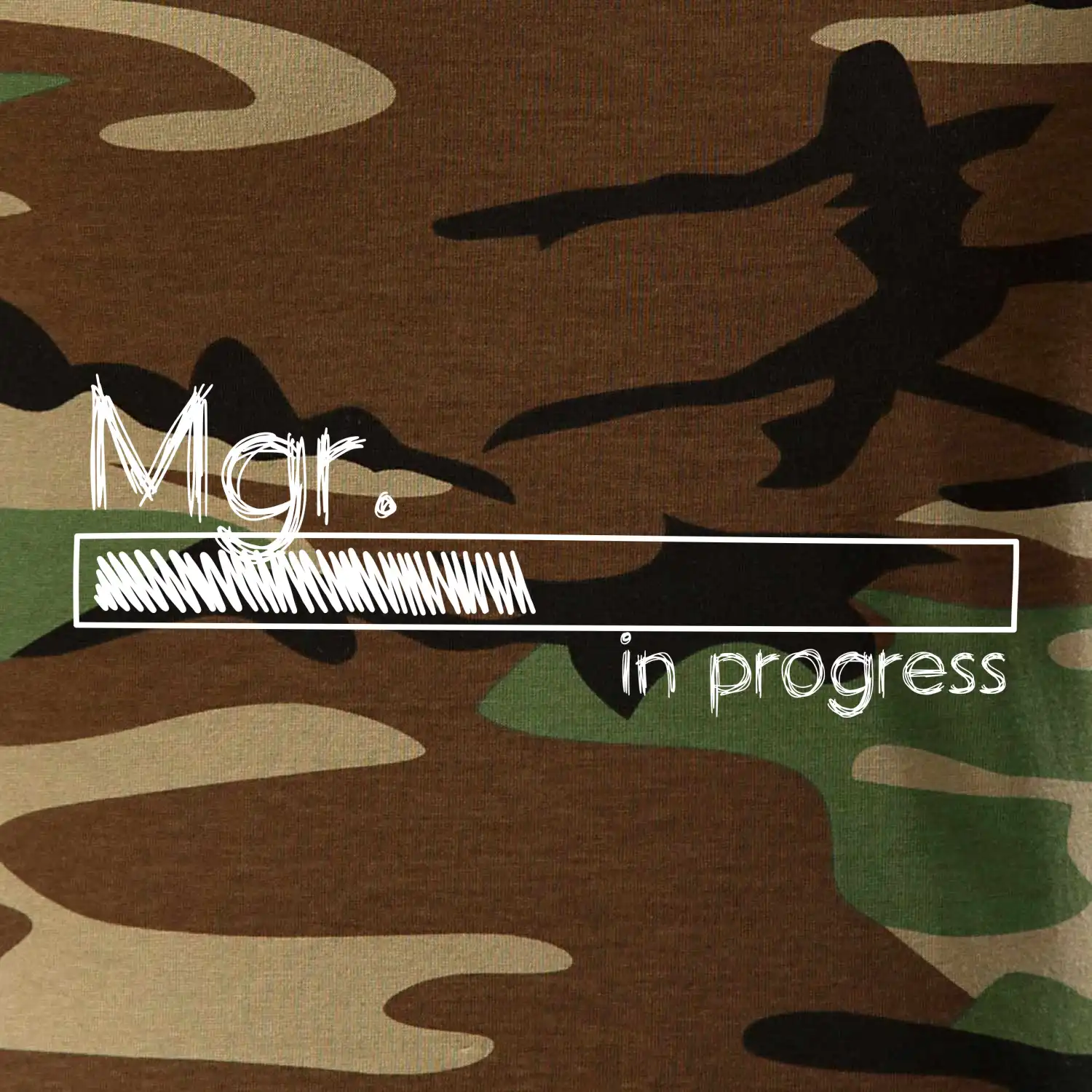 In progress titul Mgr.  magistr / magistra