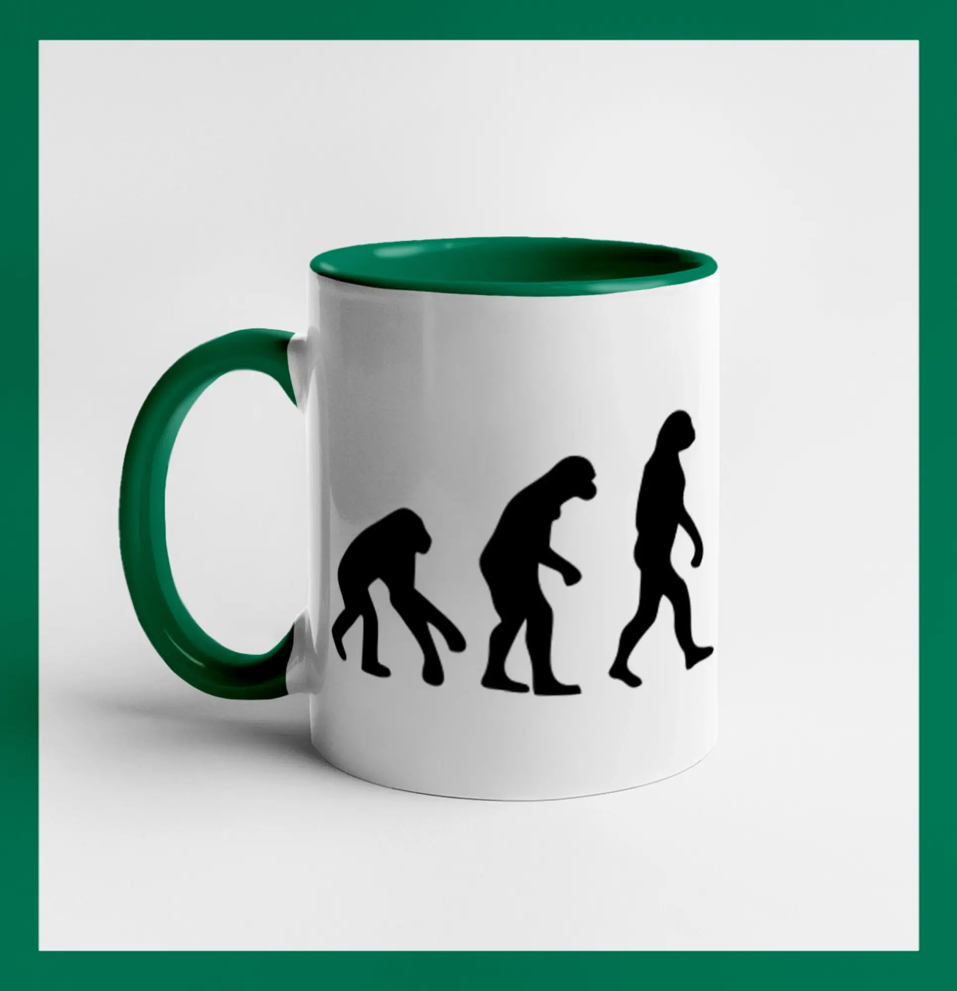 Evolúcia box
