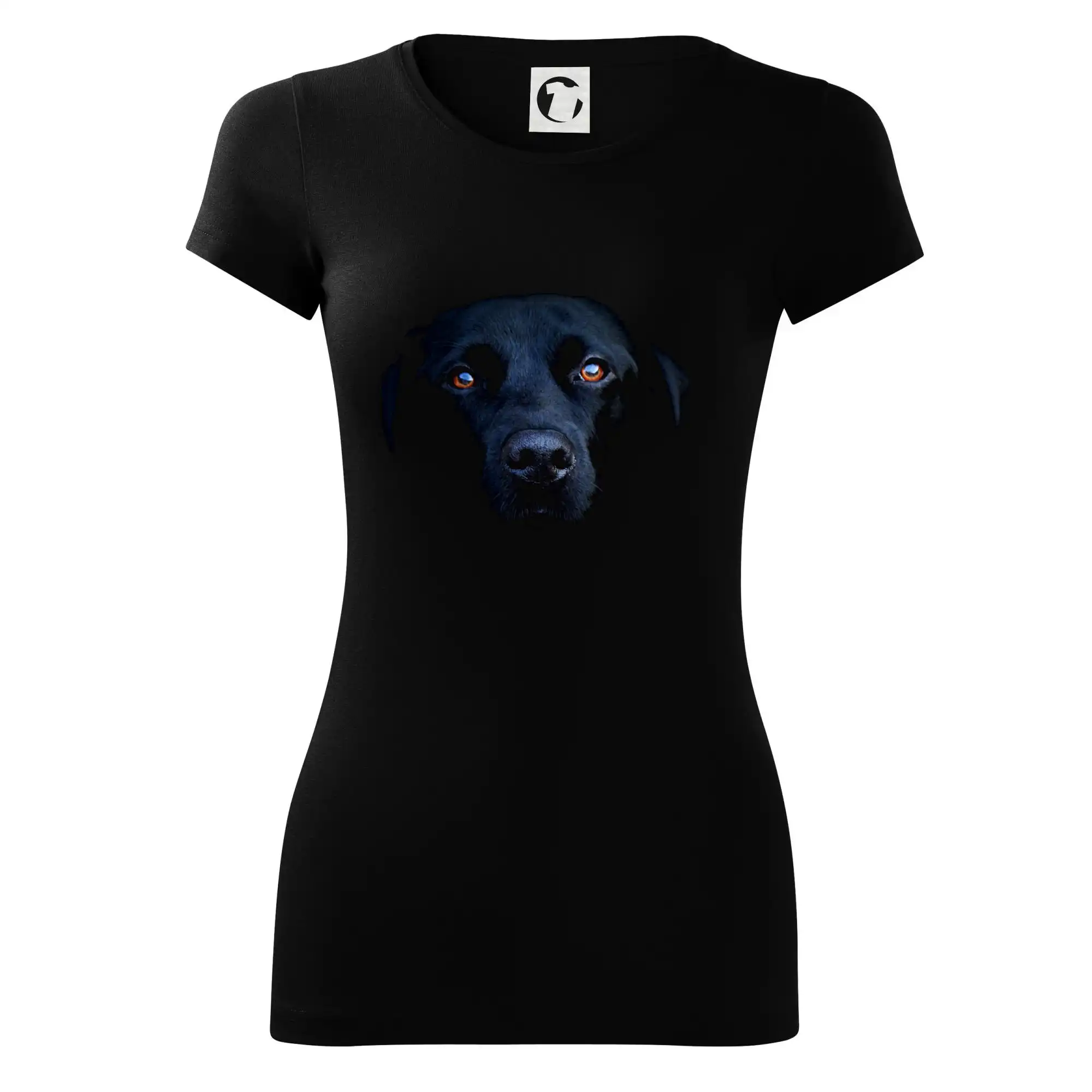 Černý Labrador fotka