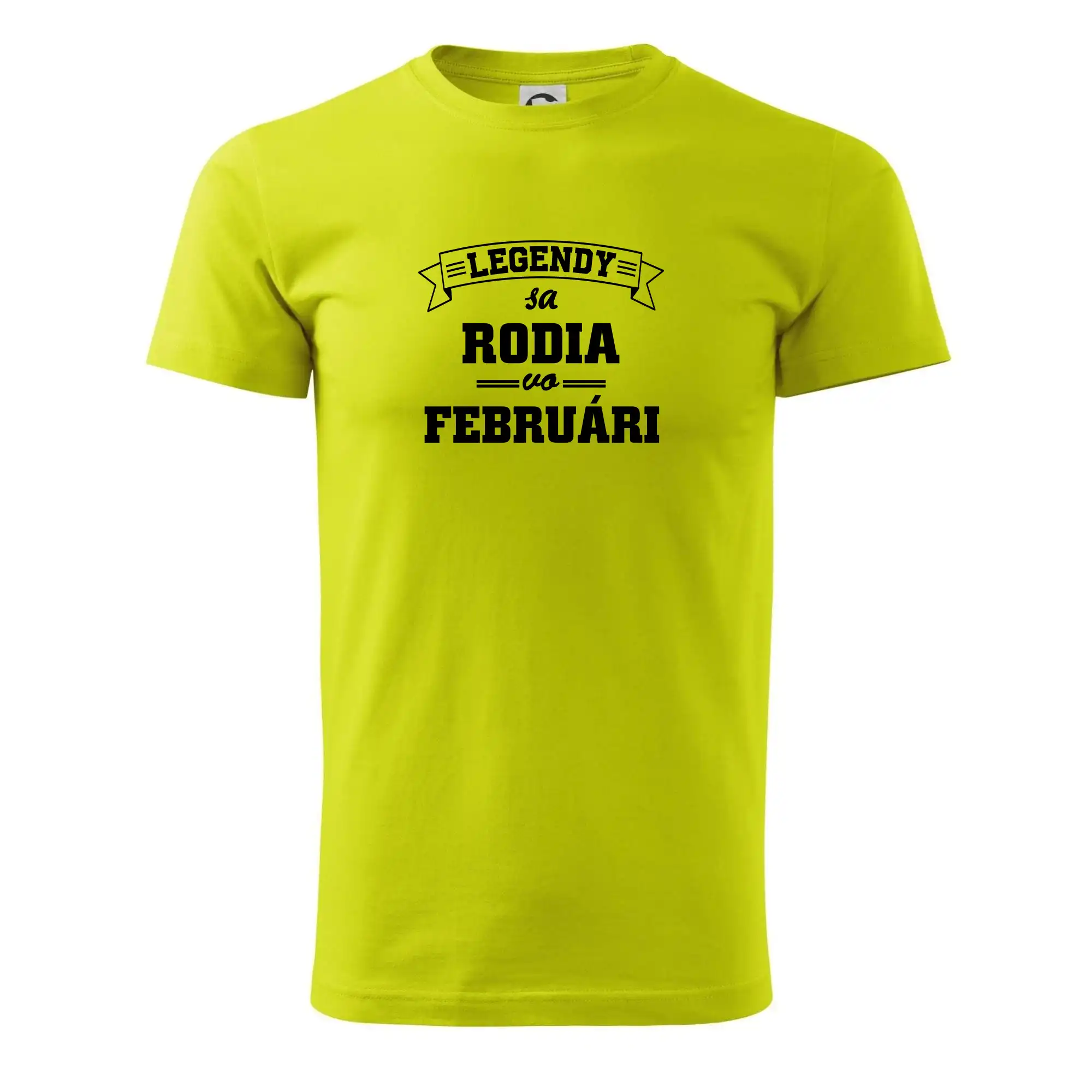 Tričká pre narodené vo februári - Legendy sa rodia vo februári - Pánske tričko nižšej gramáže