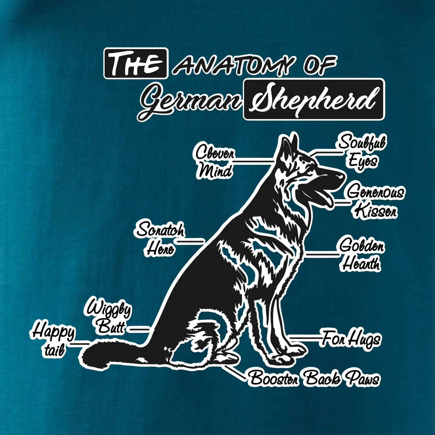 Německý ovčák - Anatomie