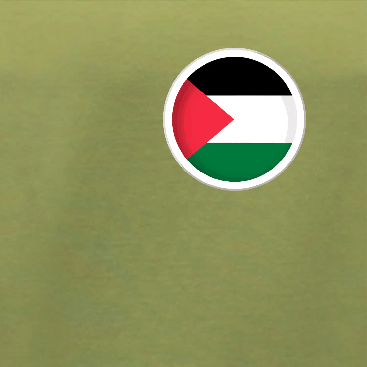 Palestina vlajka prso
