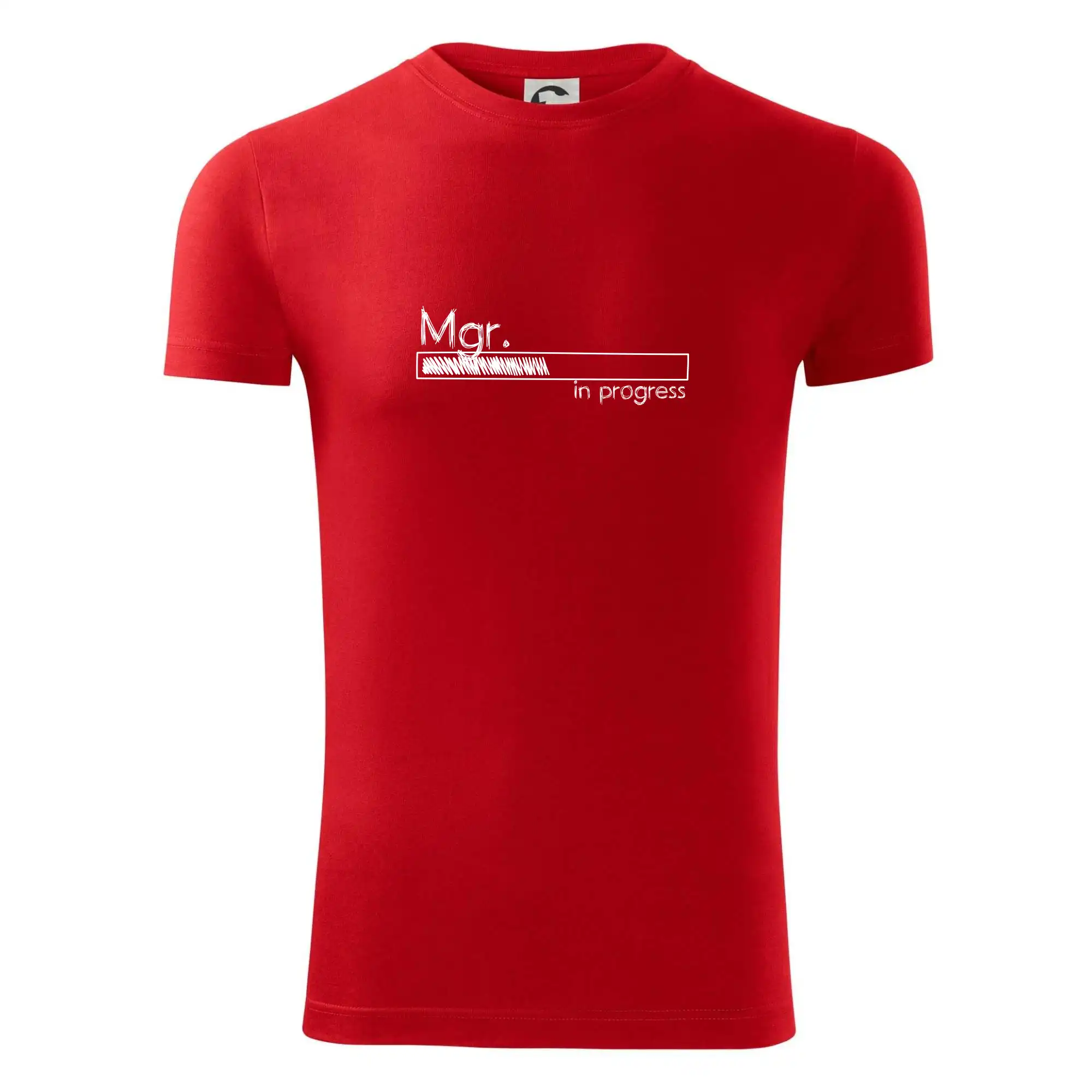 In progress titul Mgr.  magistr / magistra