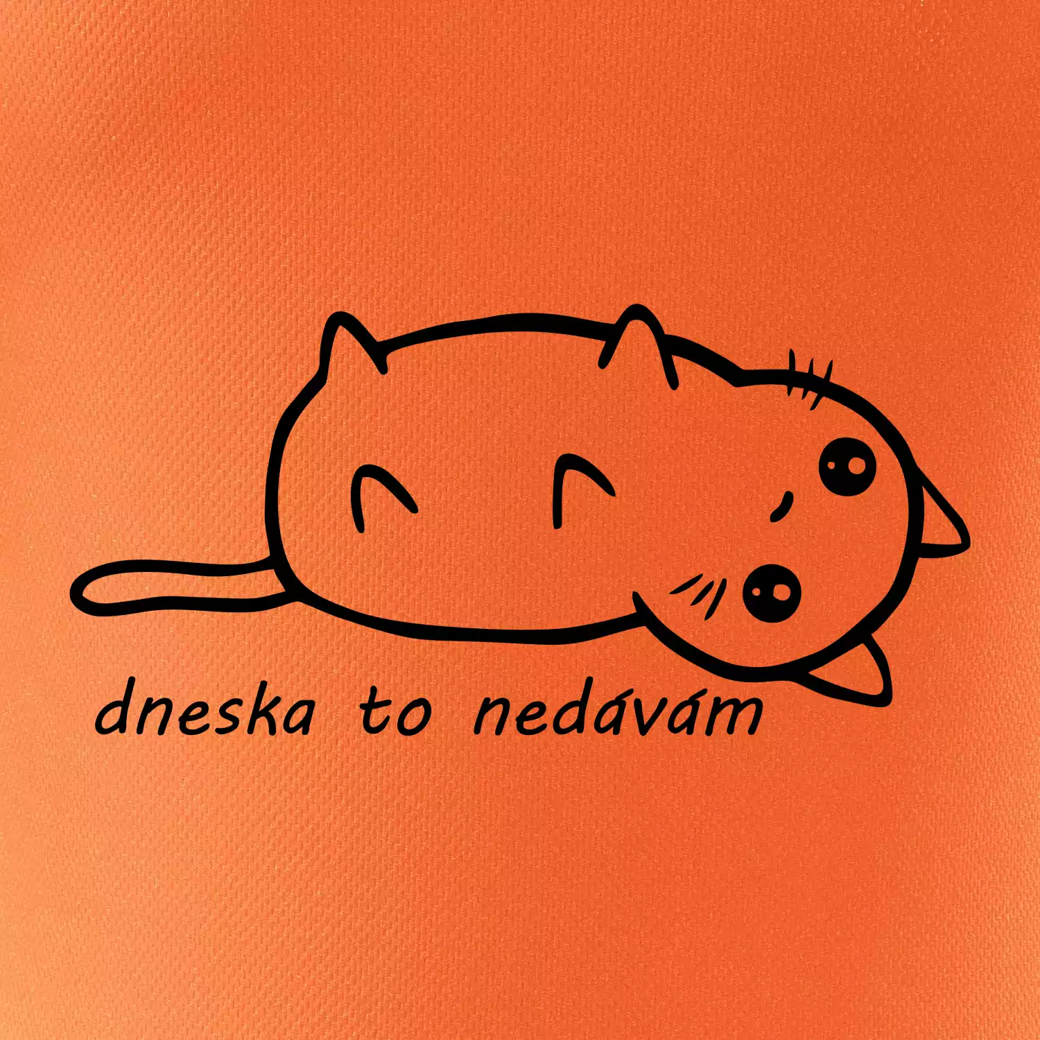 Dnes to nedávam