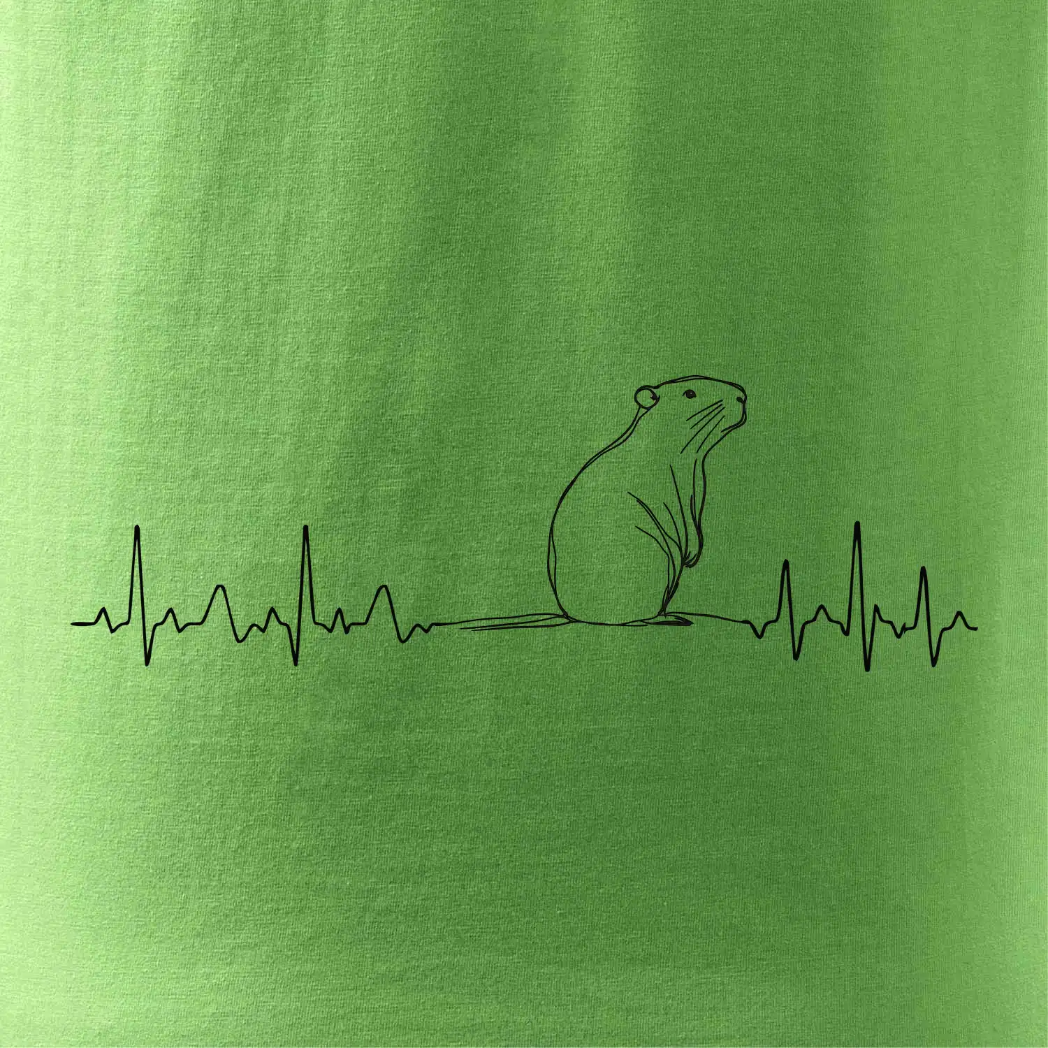 EKG křivka kapybara