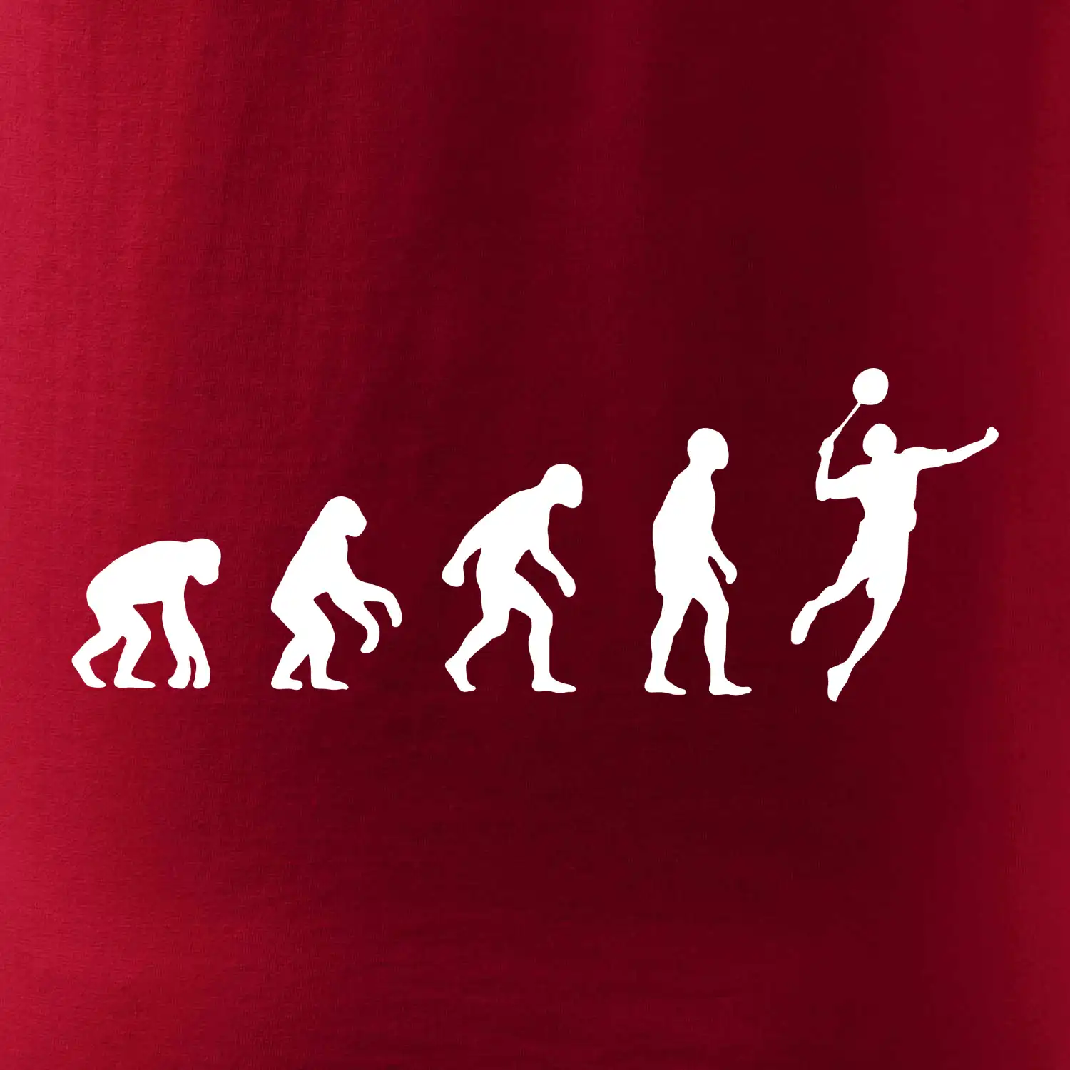 Evoluce Badminton