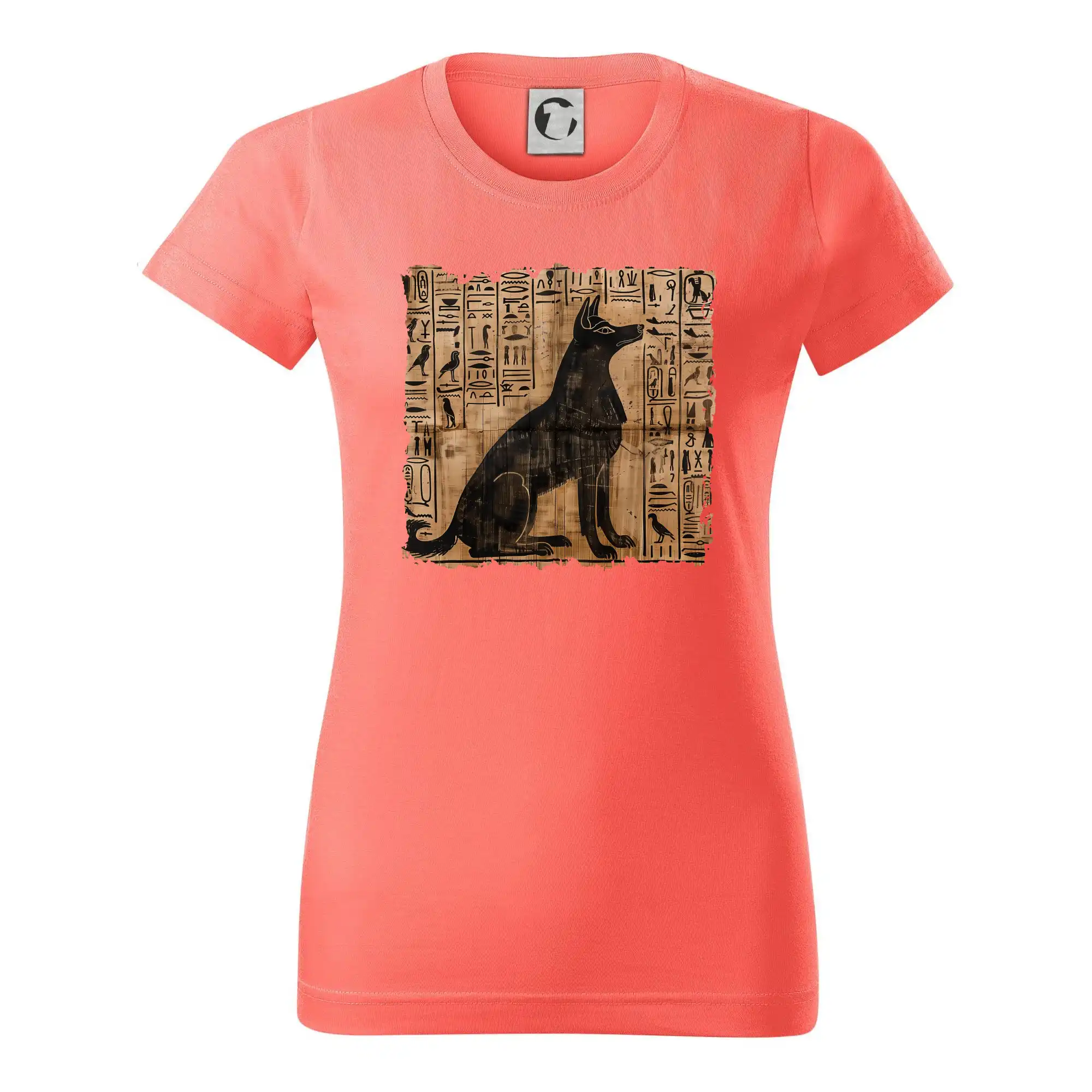 Egyptské hieroglyfy pes