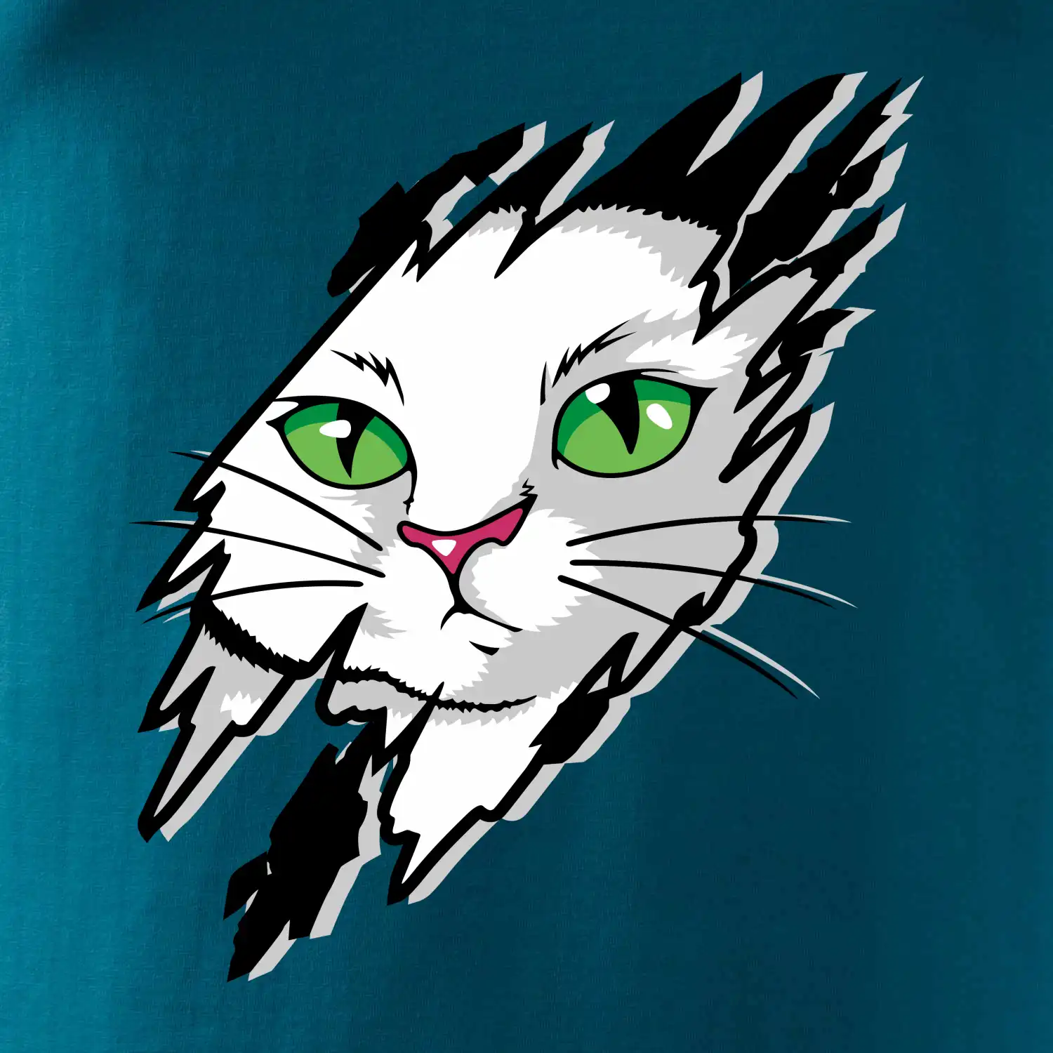 Kočka v roztrženém triku