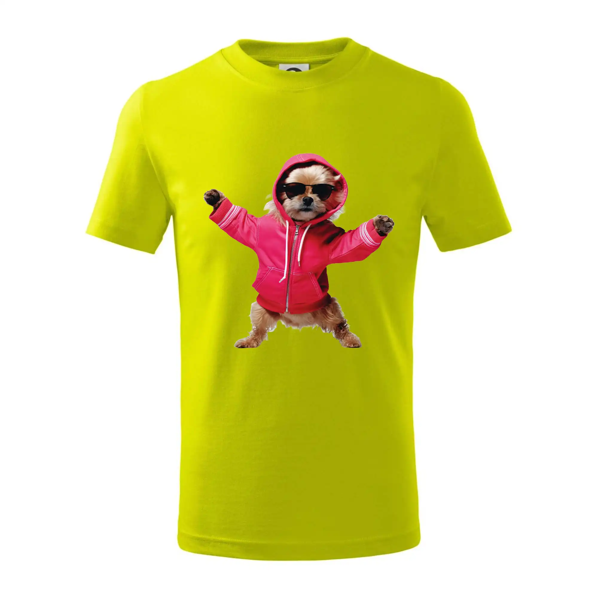Yorkšír v mikině