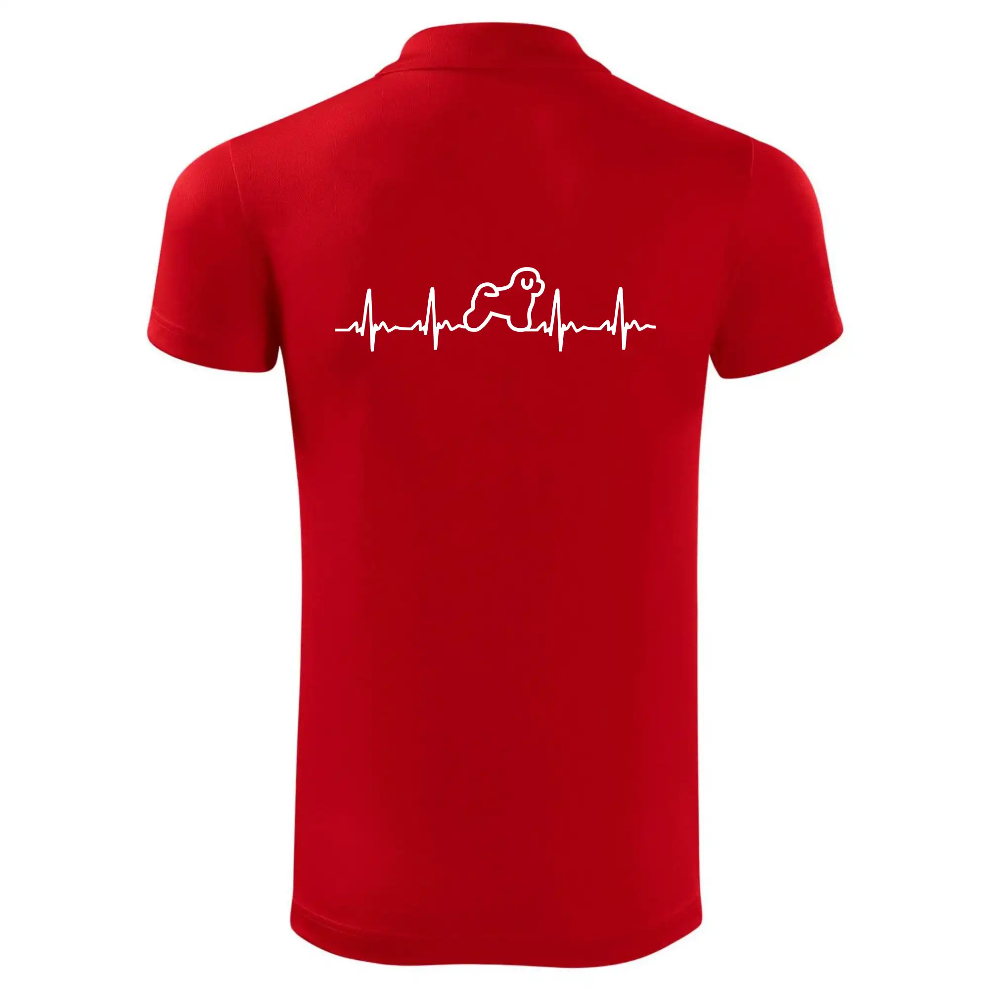 Bišonek ekg