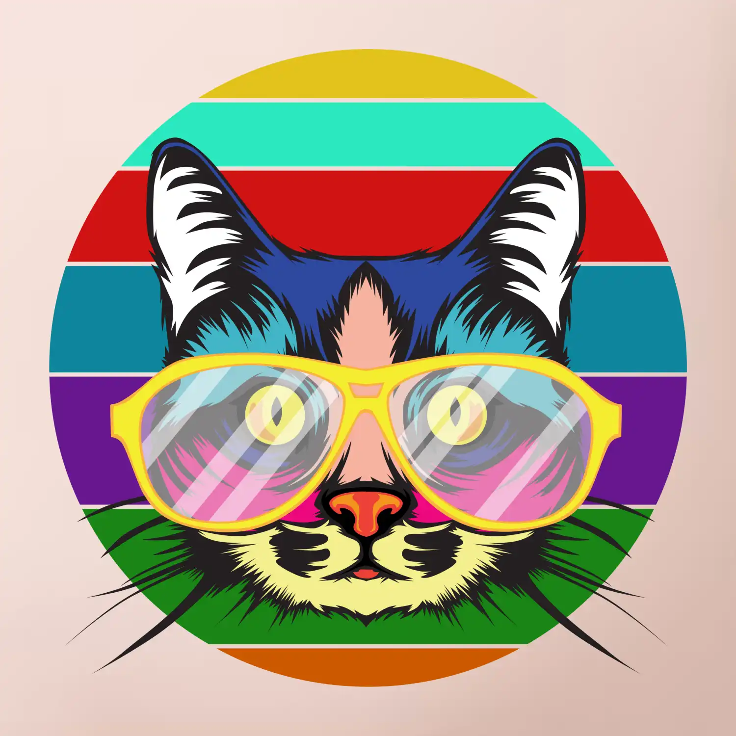 Kočka při barevném západu