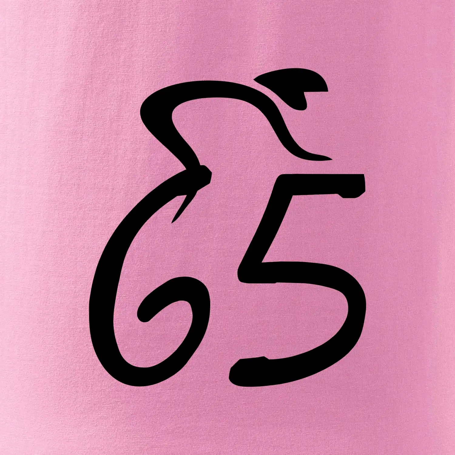 Cyklista slaví pětašedesátku (65)