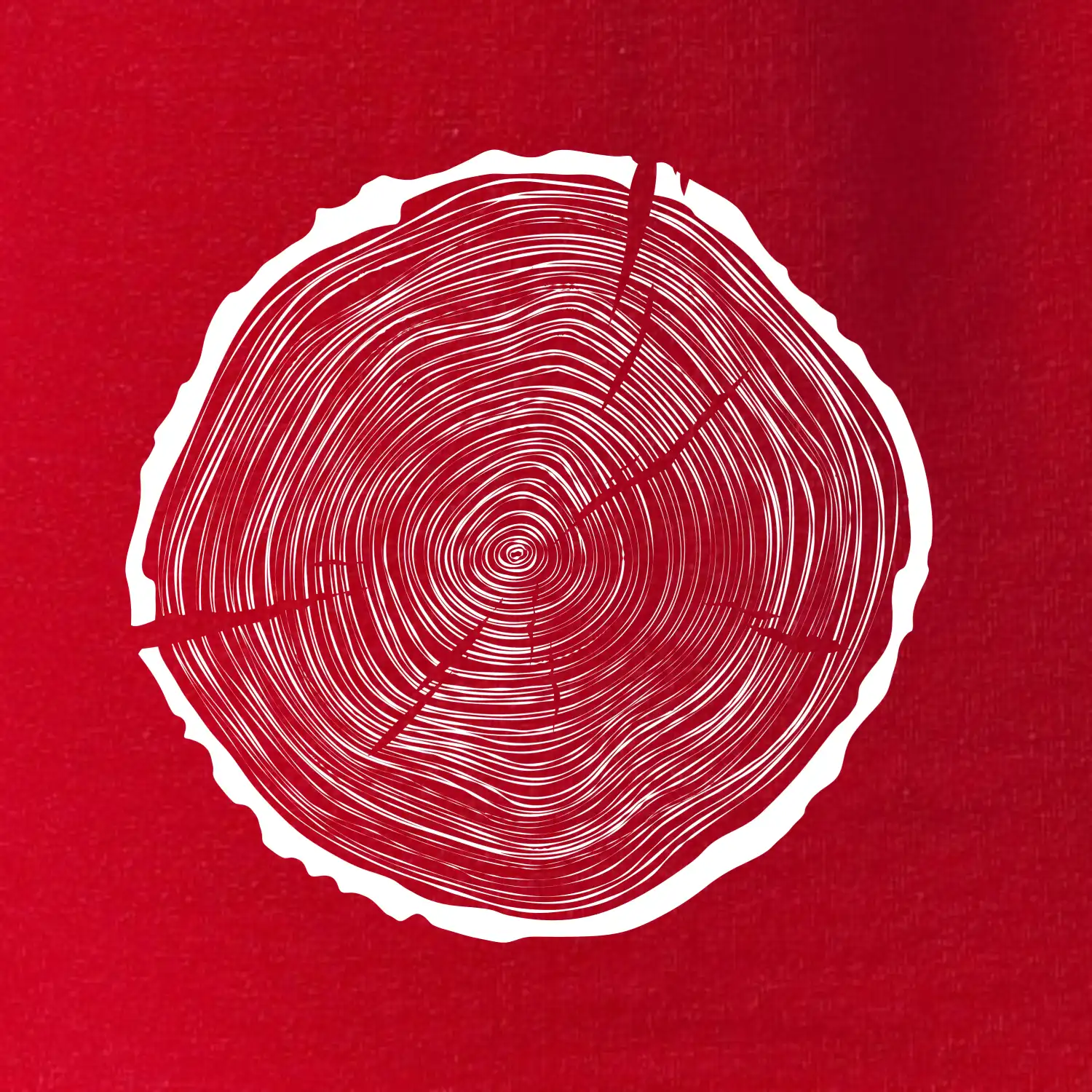 Letokruhy 55 bez věku