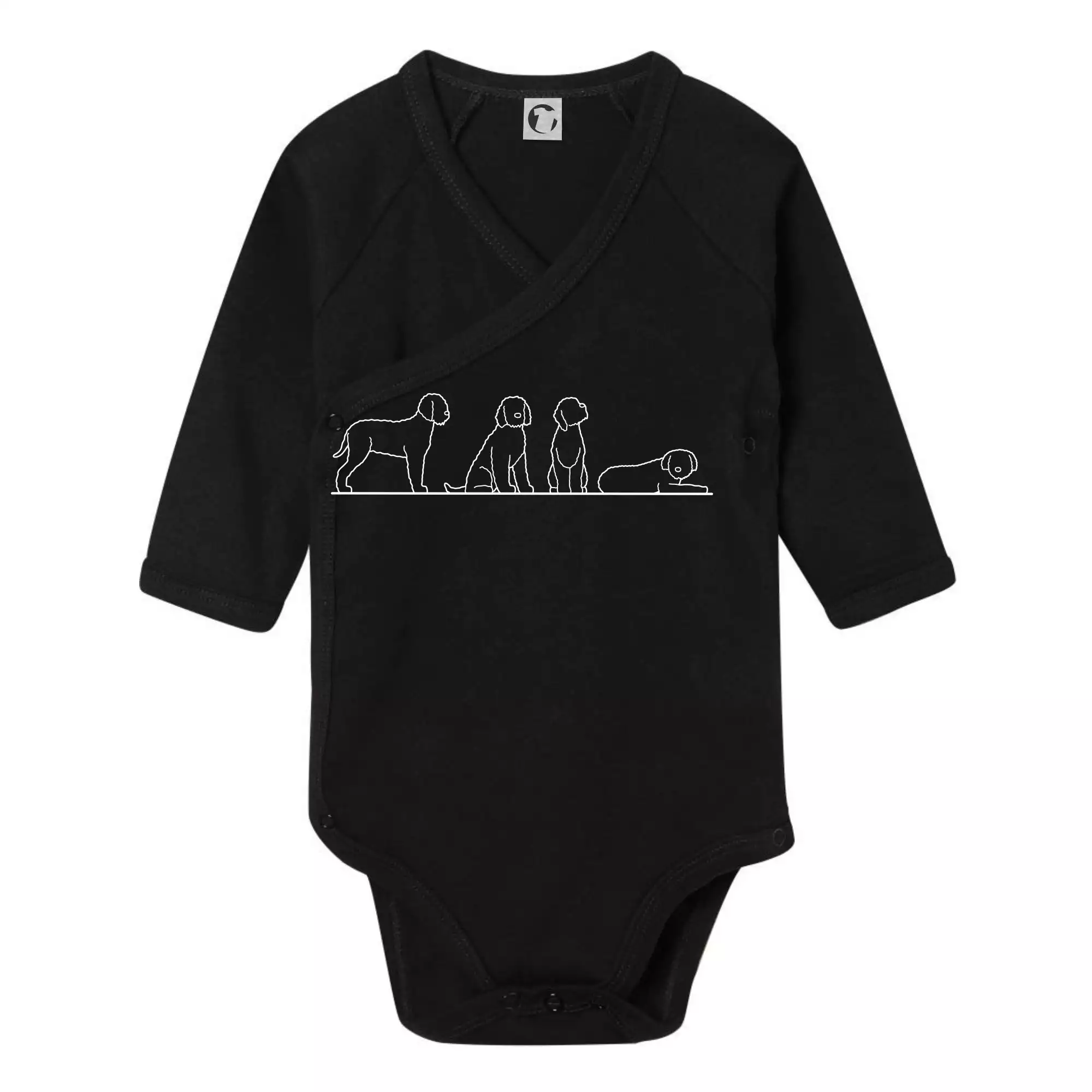 Lagotto romagnolo postavy linka