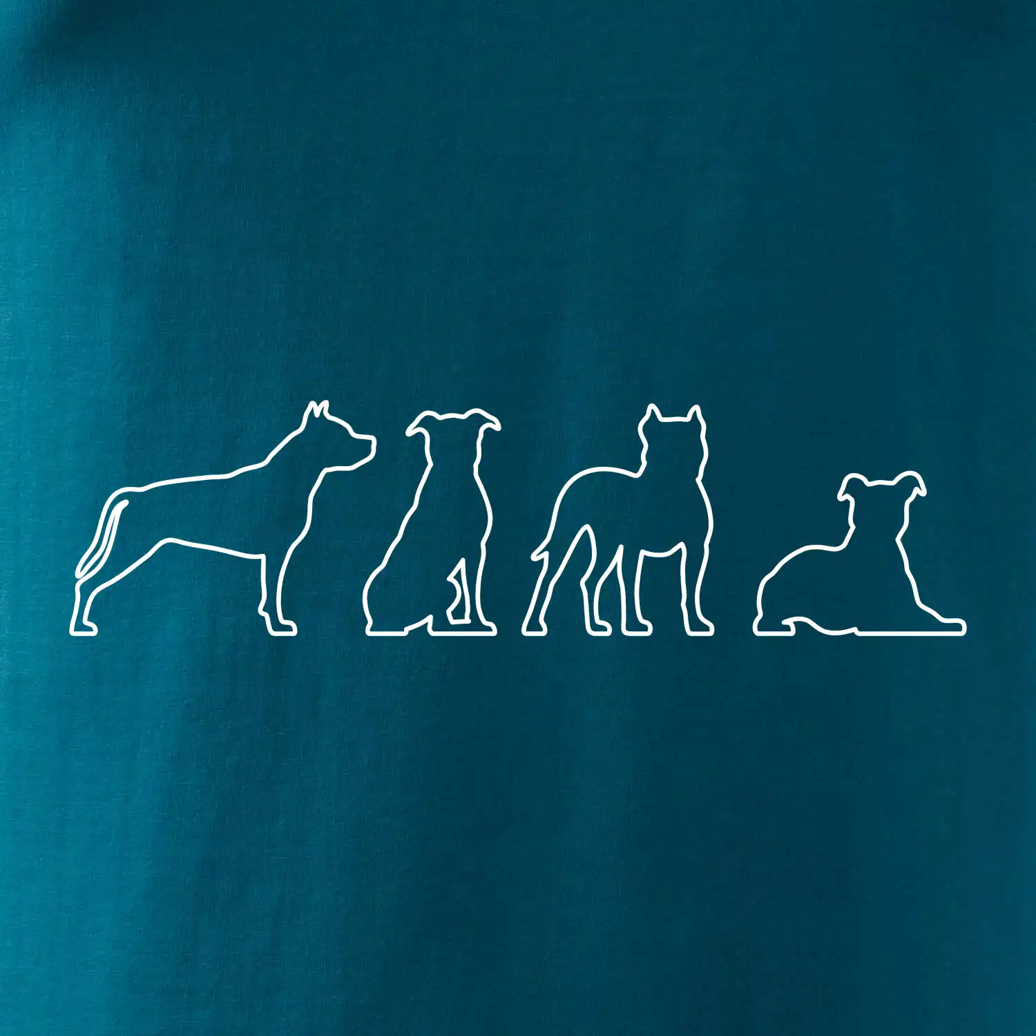 Americký stafordširský teriér v různých pozicích