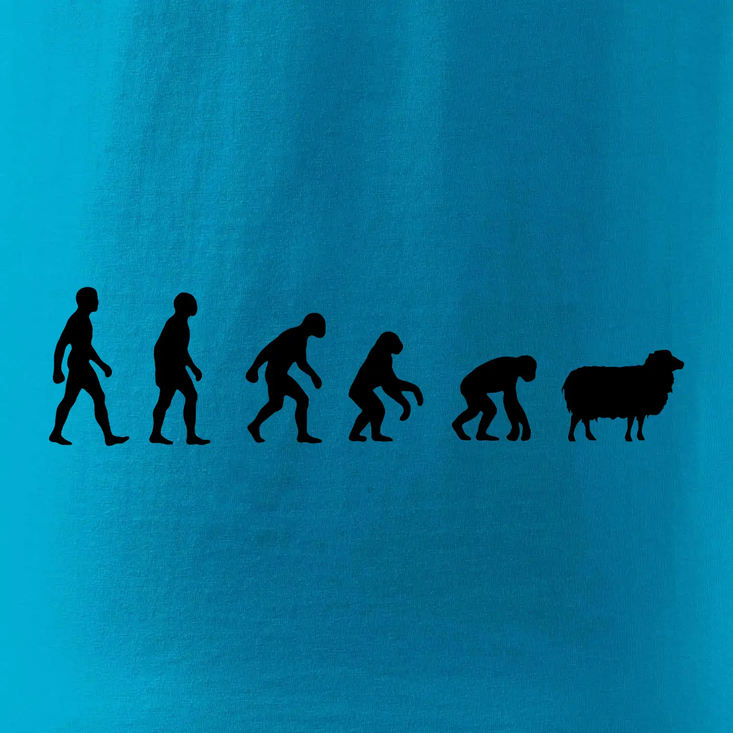 Evoluce ovce