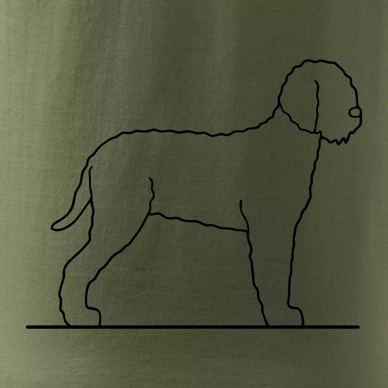 Lagotto romagnolo stojící