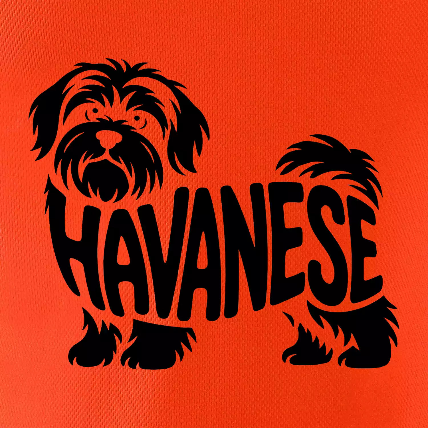 Havanese nápis v těle