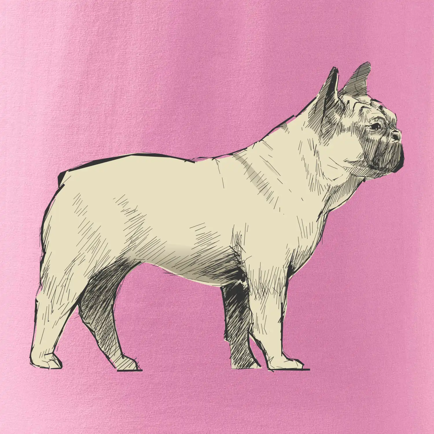 Vintage French bulldog