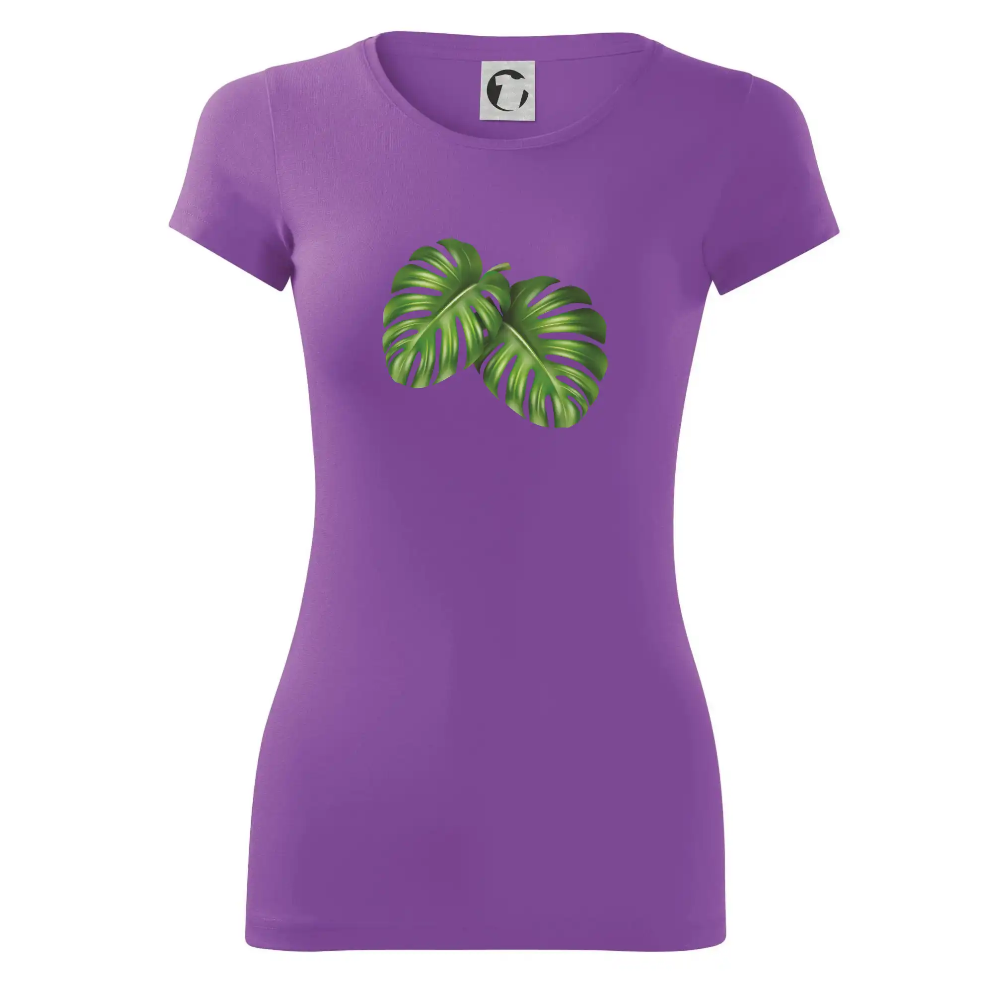 Monstera - dva listy