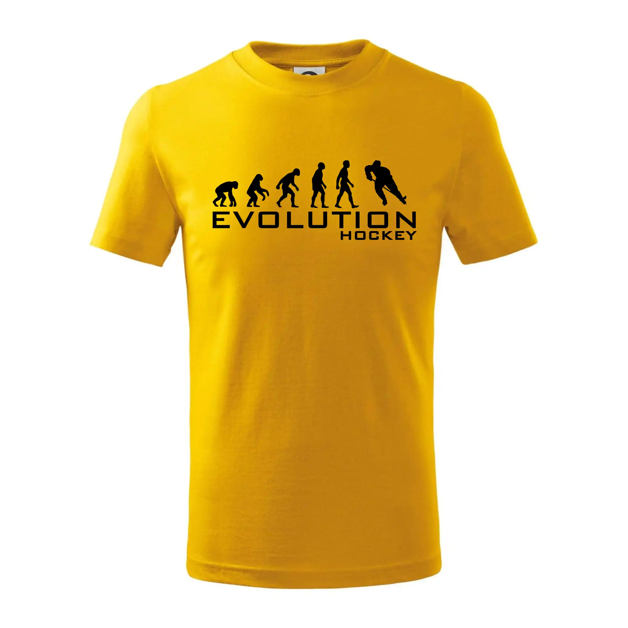 Evolúcia Hockey - hráč