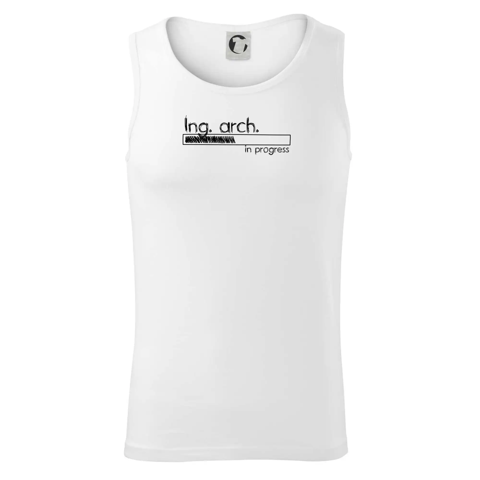 In progress  titul Ing. arch. inženýr architekt / inženýrka architektka