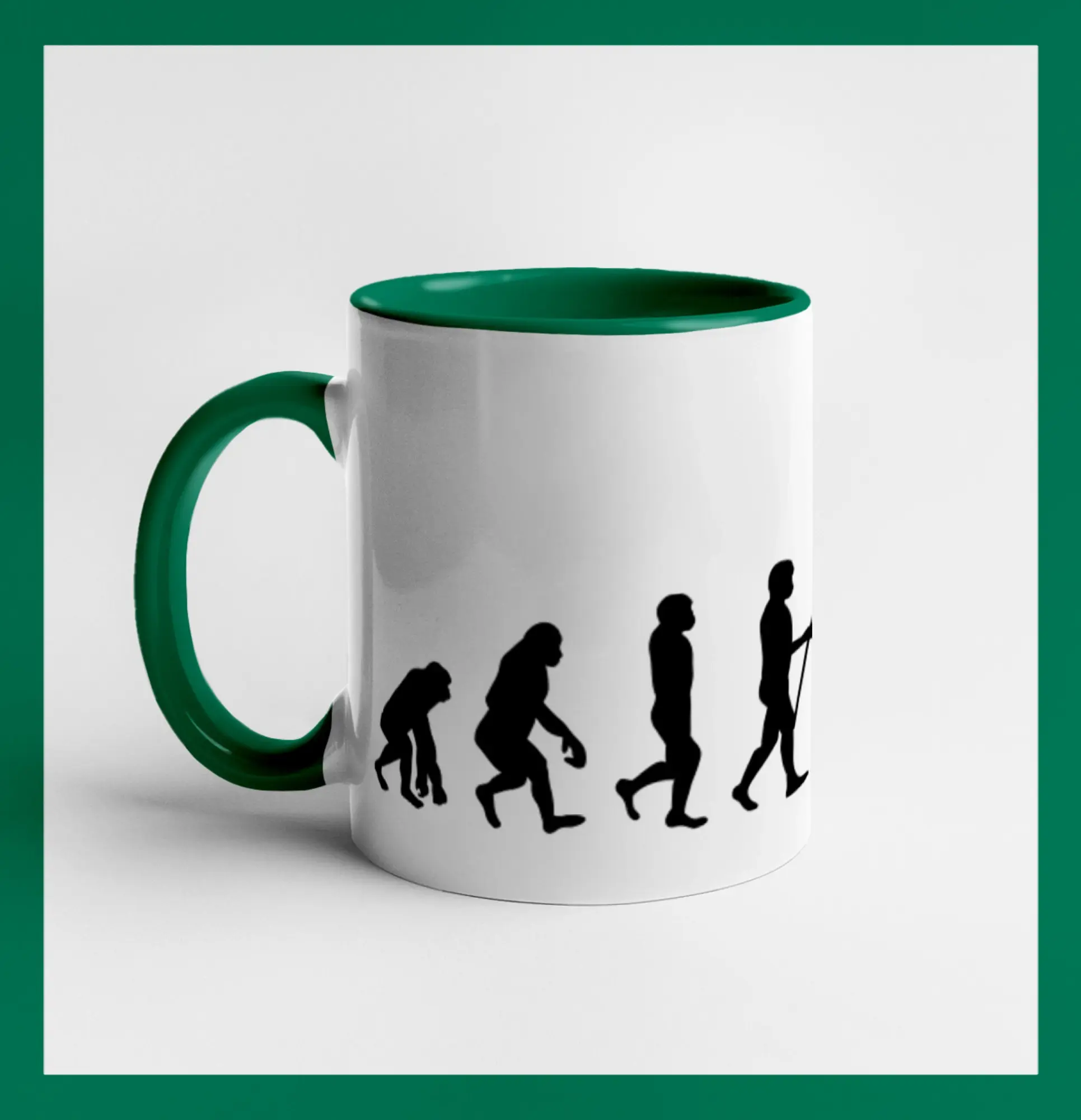 Evolúcia rogalo