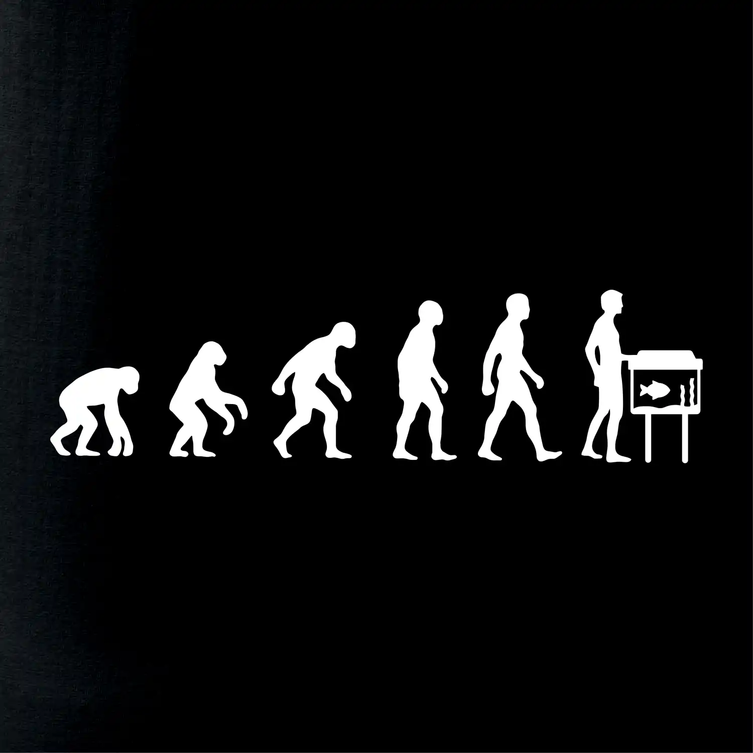 Evoluce akvaristika