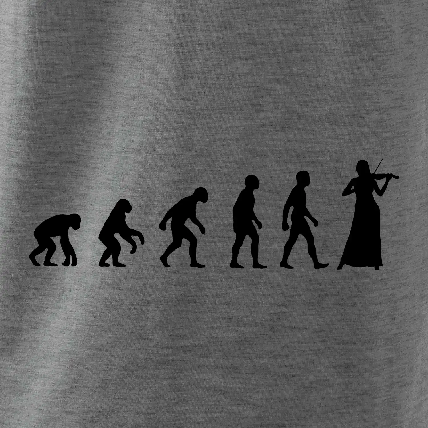 Evoluce houslistka