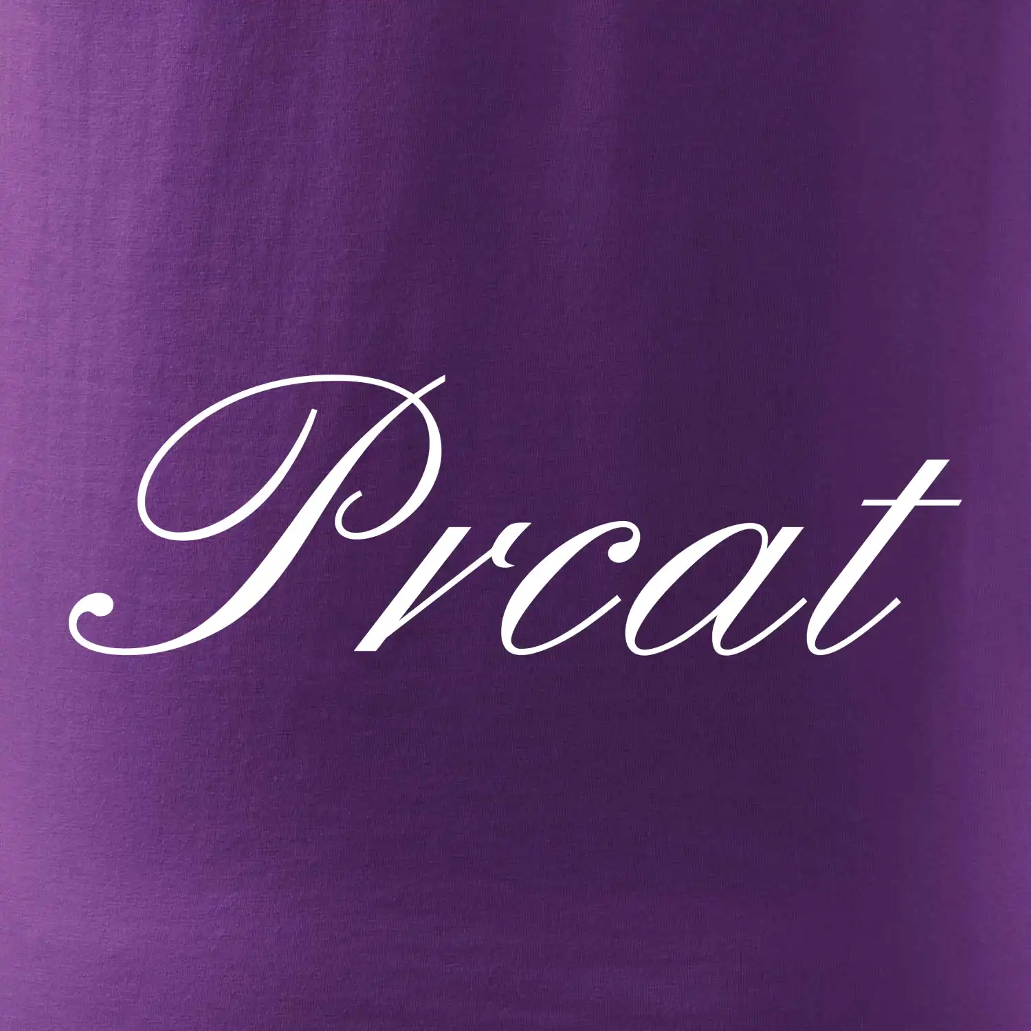 Prcat (souložit vulgárně)