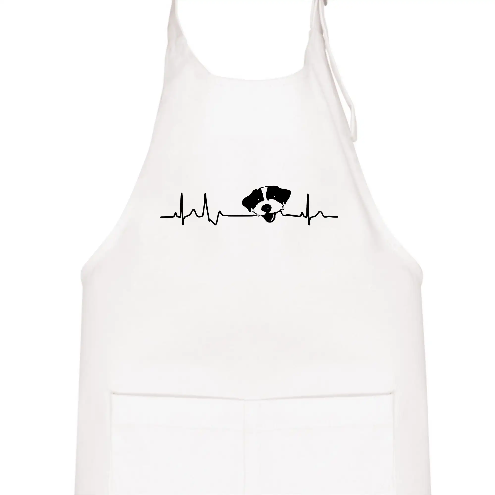 Jack Russell Terriér hrubosrstý Ekg