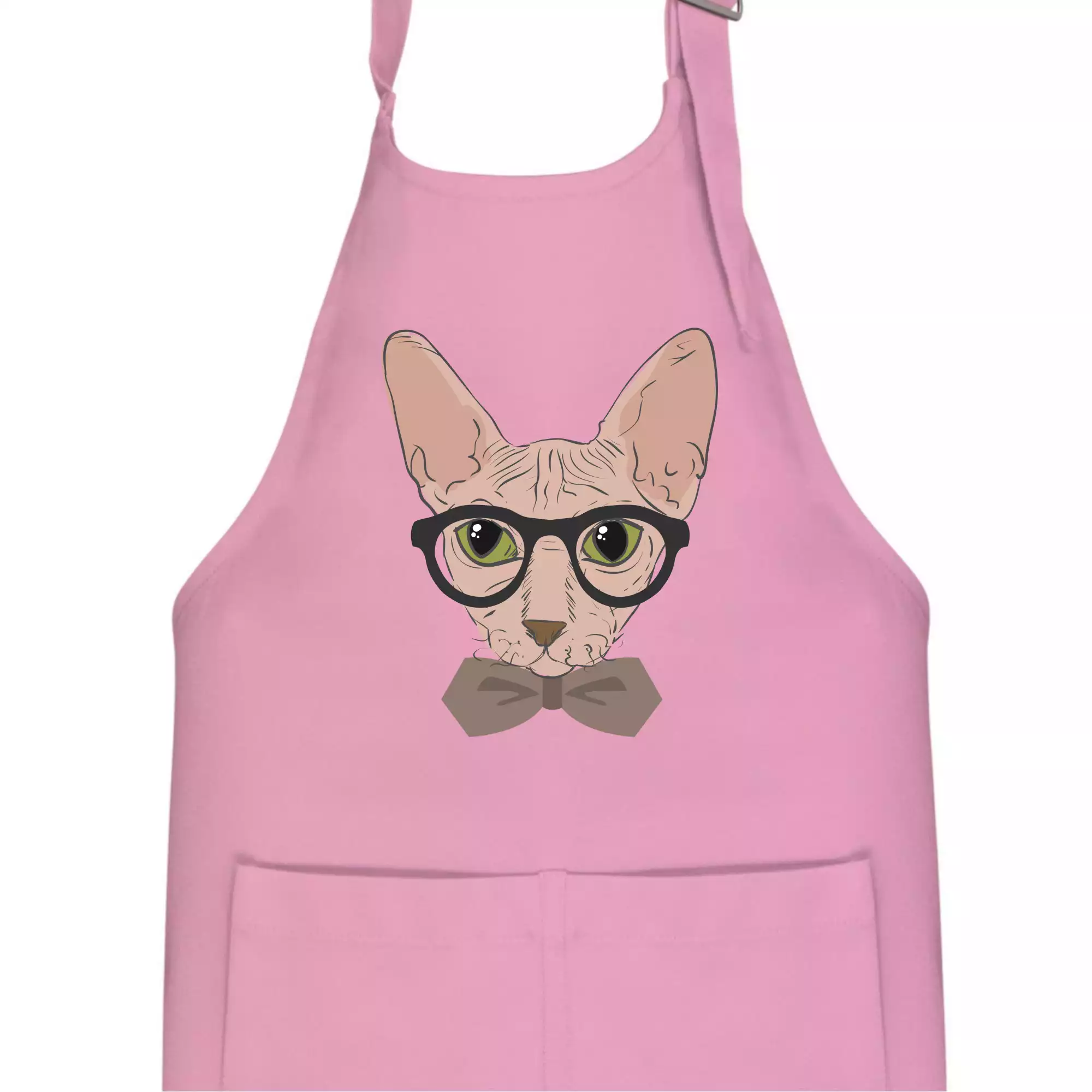 Hipster sphynx