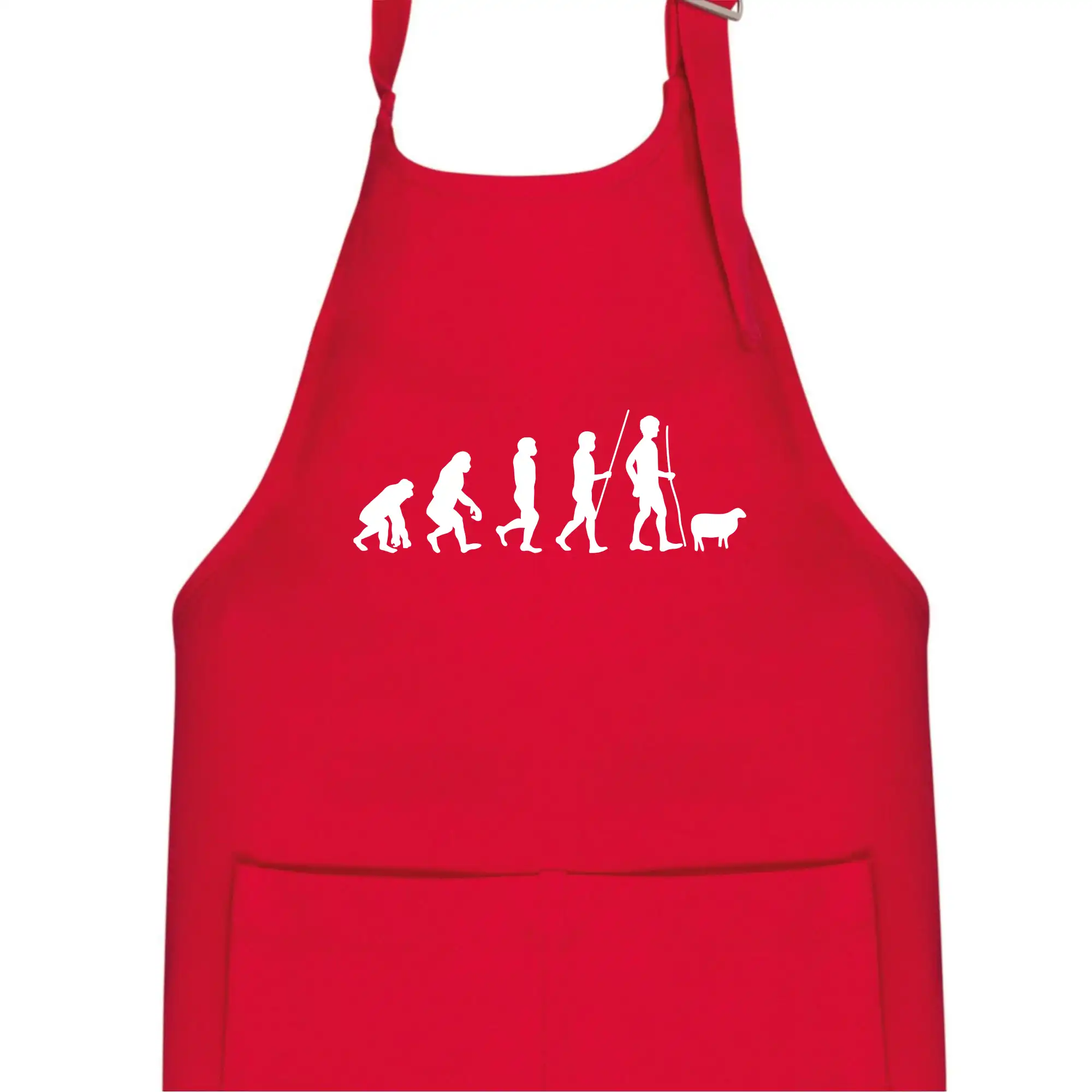 Evoluce pastevec ovcí