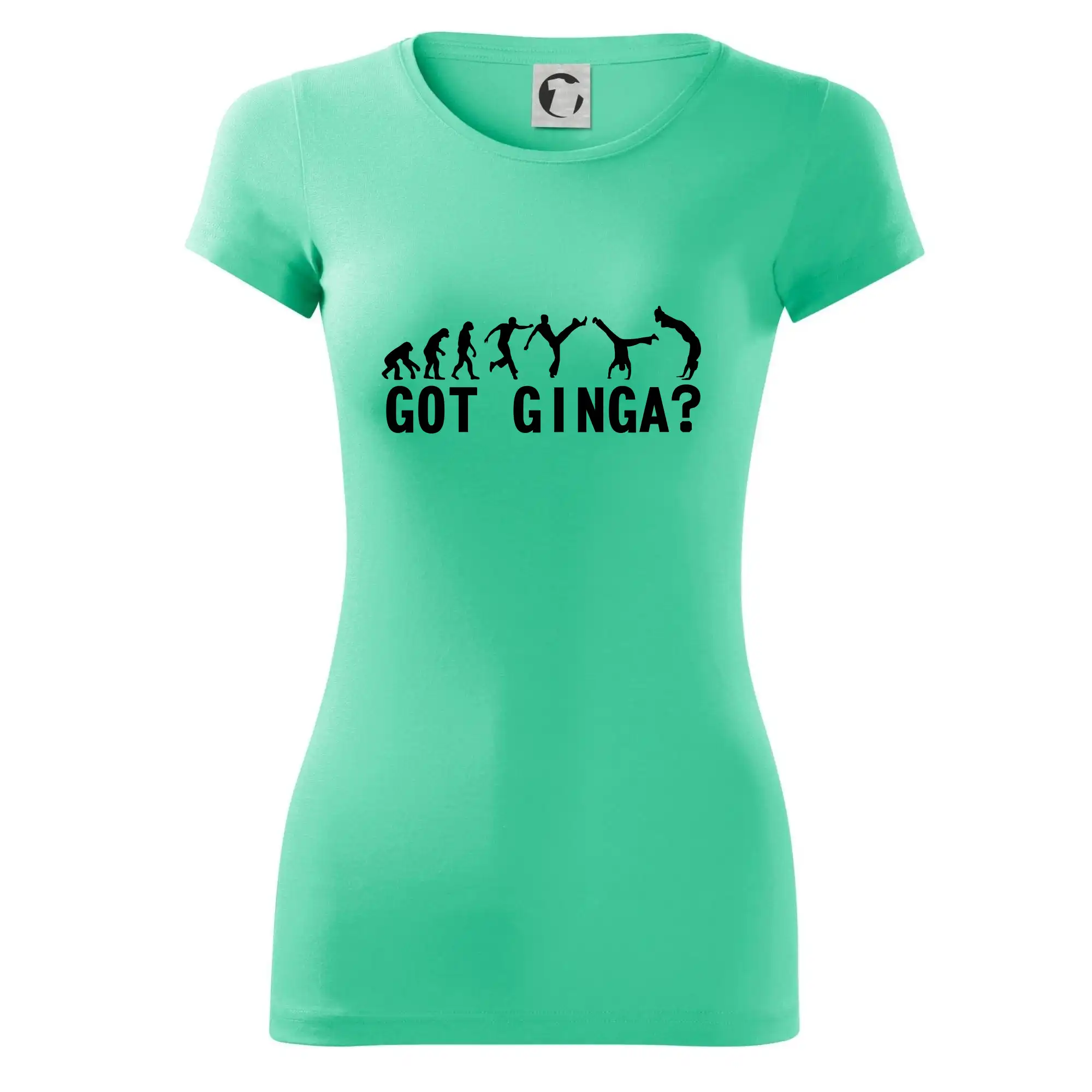 Capoeira - Got Ginga