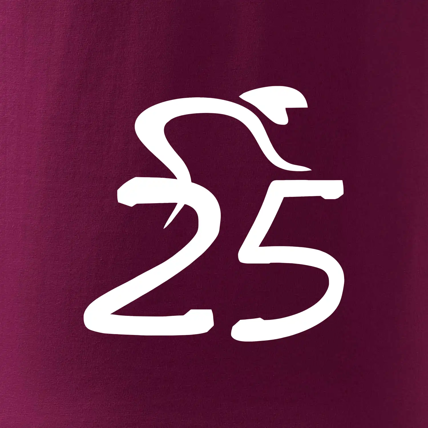 Cyklista slaví pětadvacítku (25)