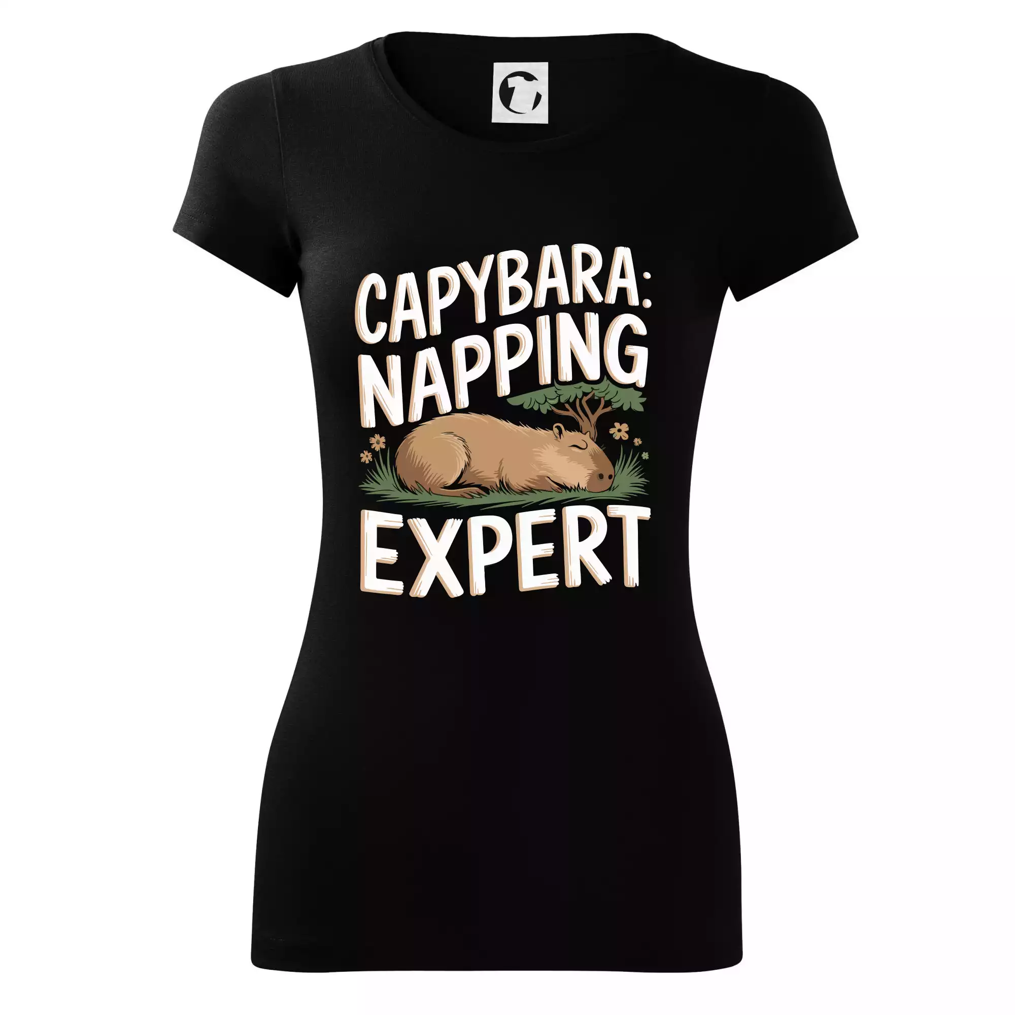 Capybara Napping Expert