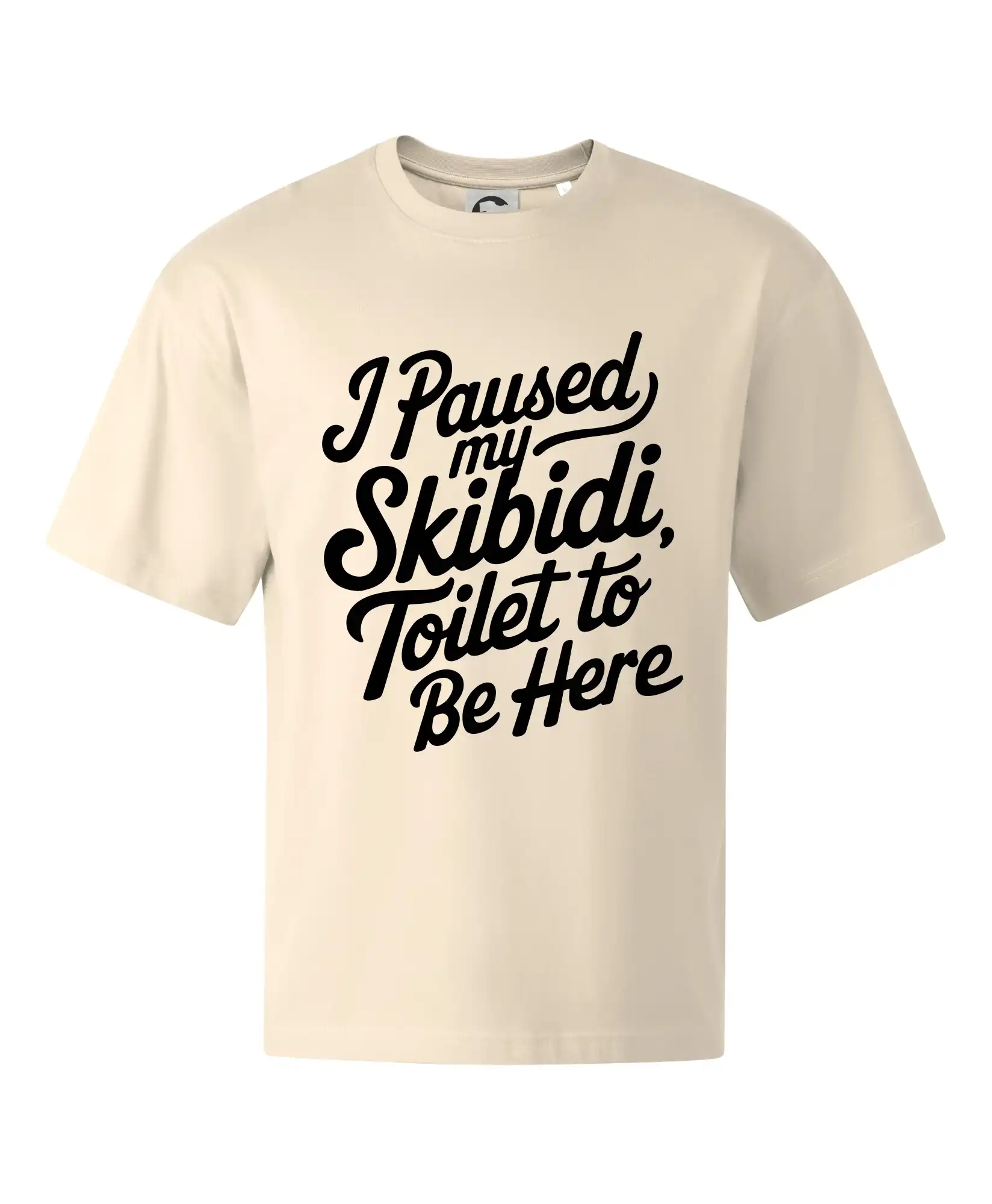 I Paused My Skibidi Toilet to be Here