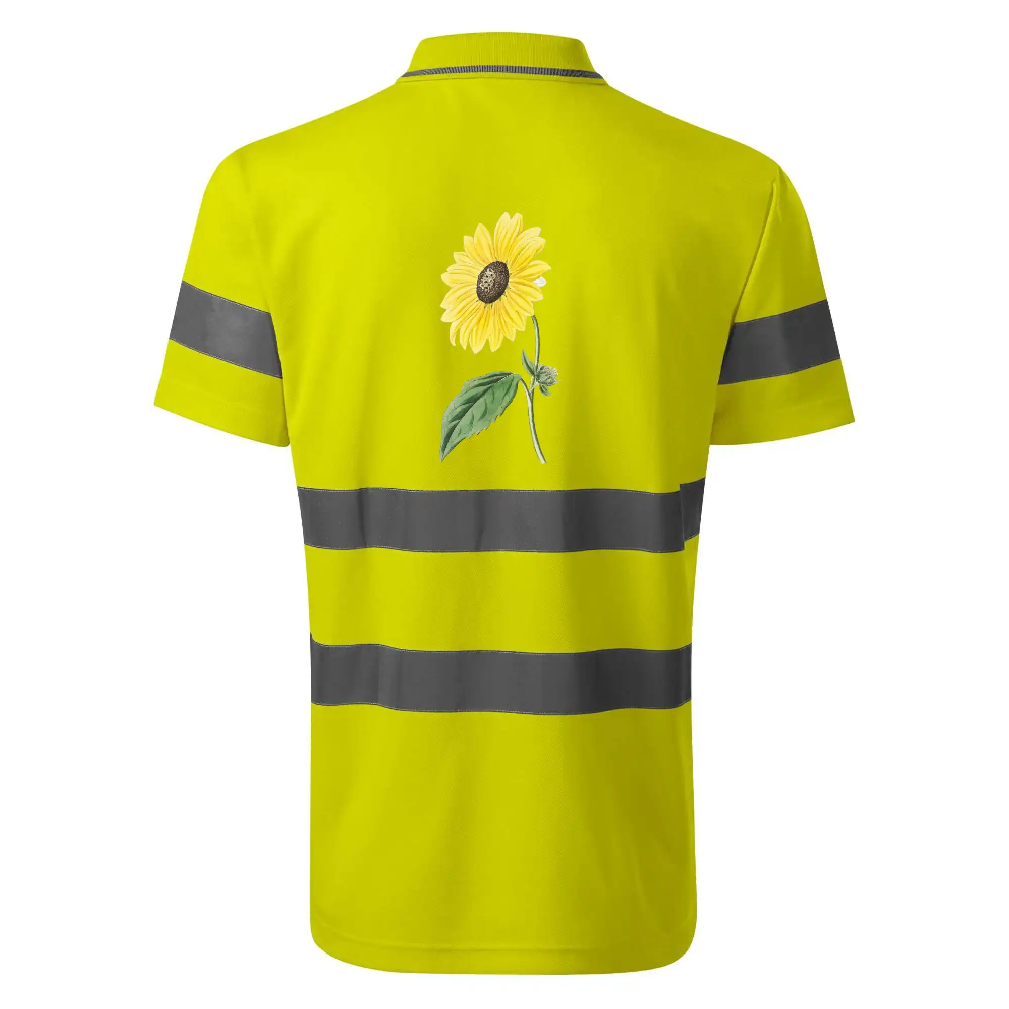 Slunečnice otočená