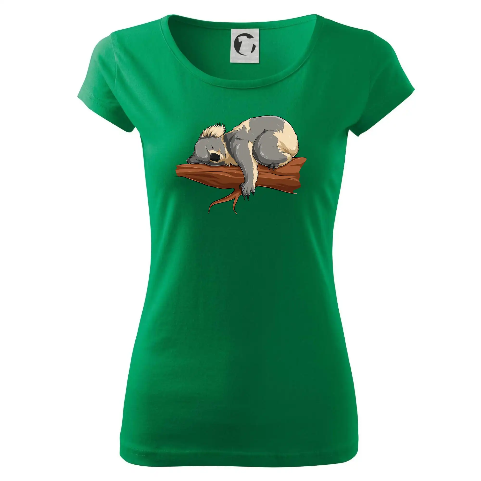 Koala na větvi