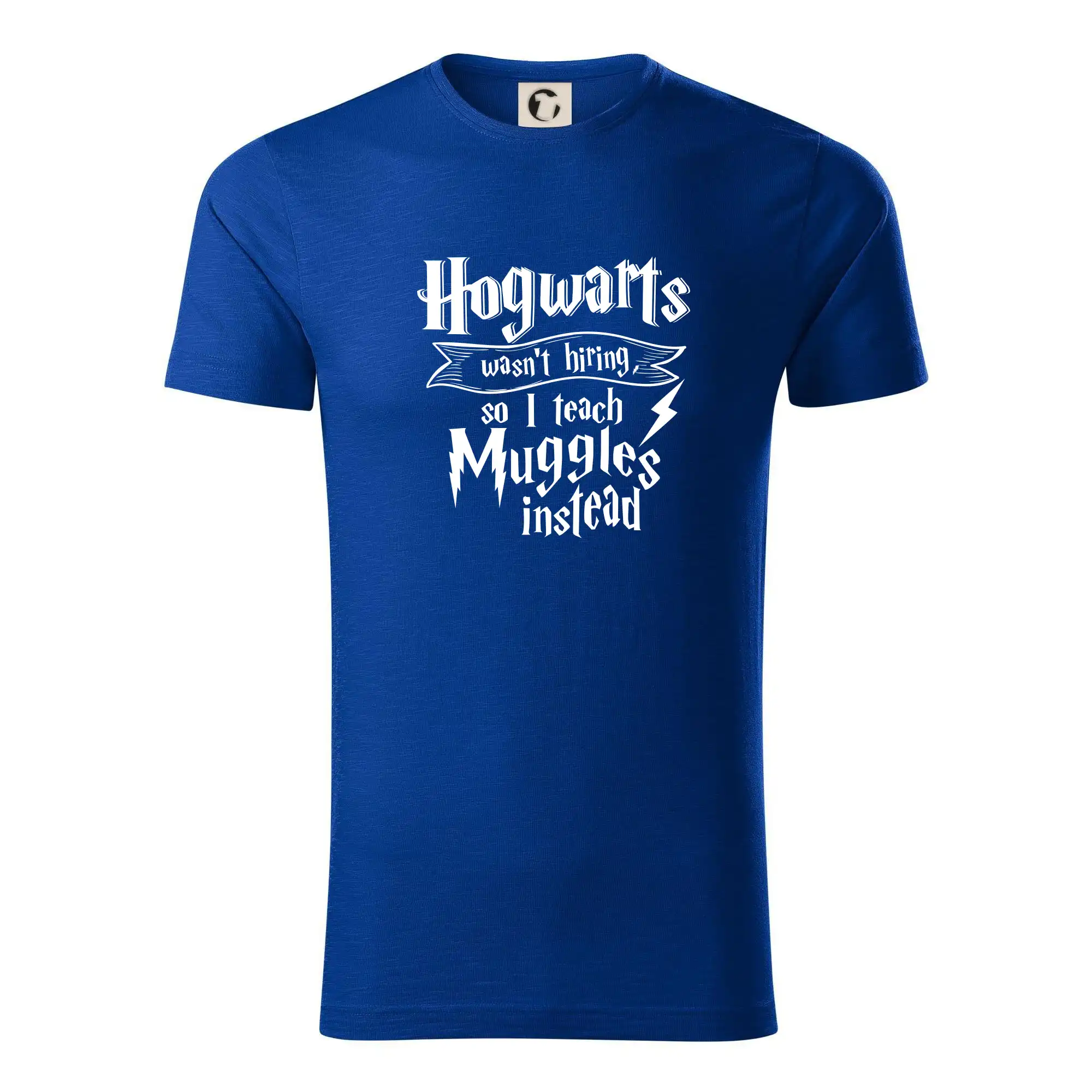 Harry - Hogwarts wasn’t hiring, so I teach Muggles instead
