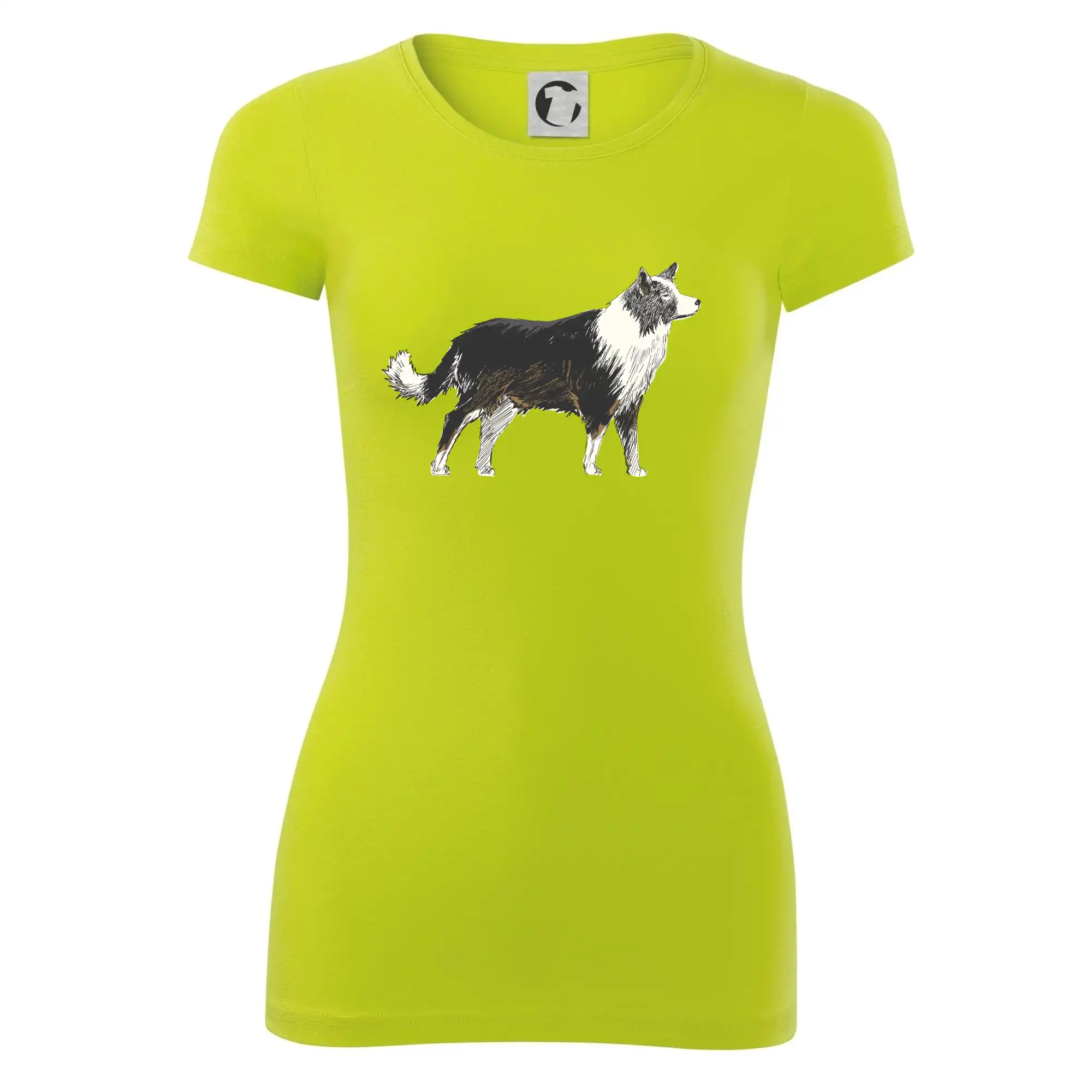 Border kolie kreslená