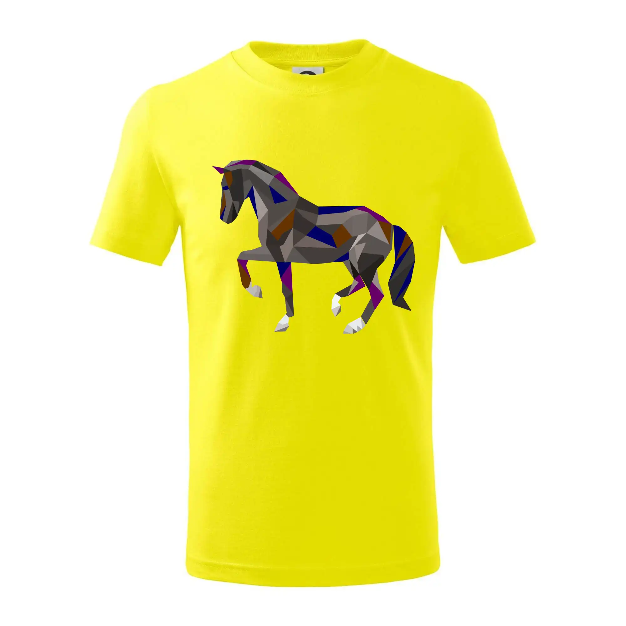 Kůň geometrie barevný