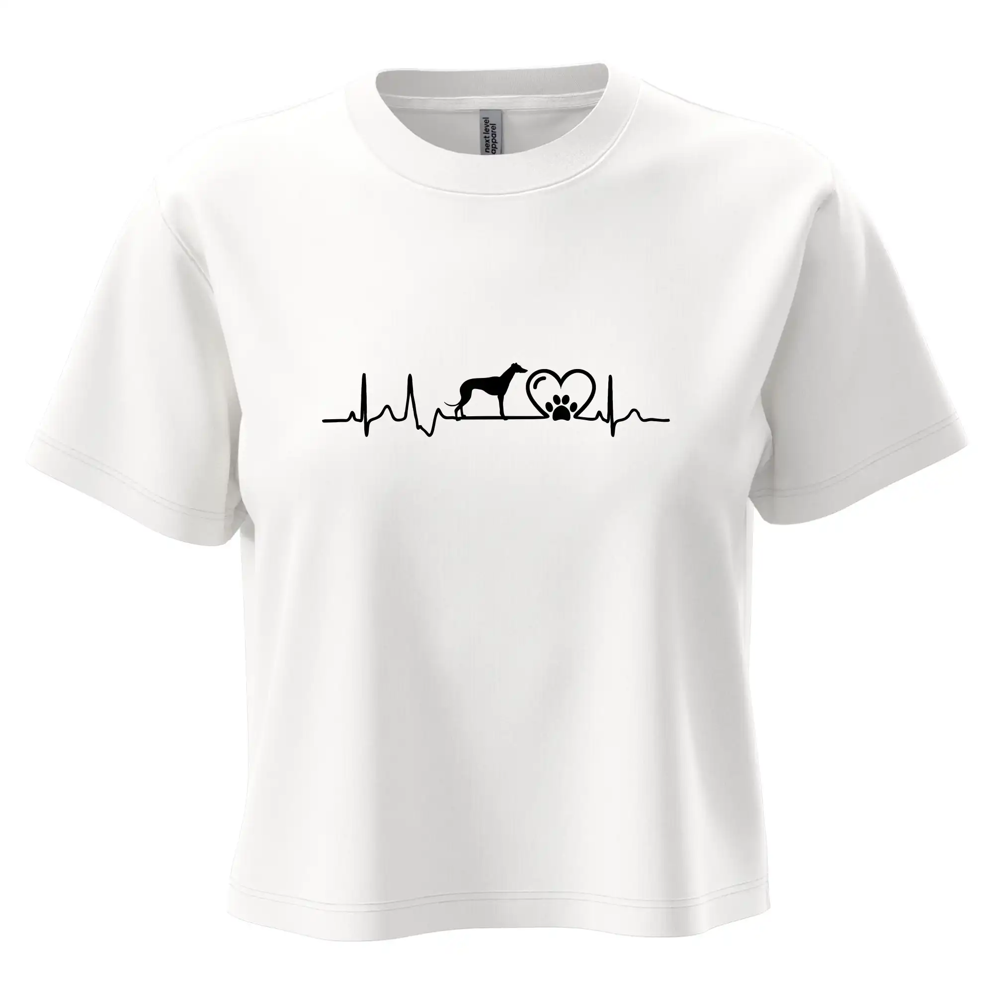 Chrt - Ekg