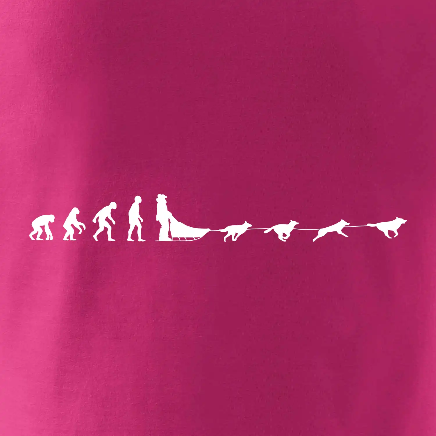 Evoluce psí spřežení