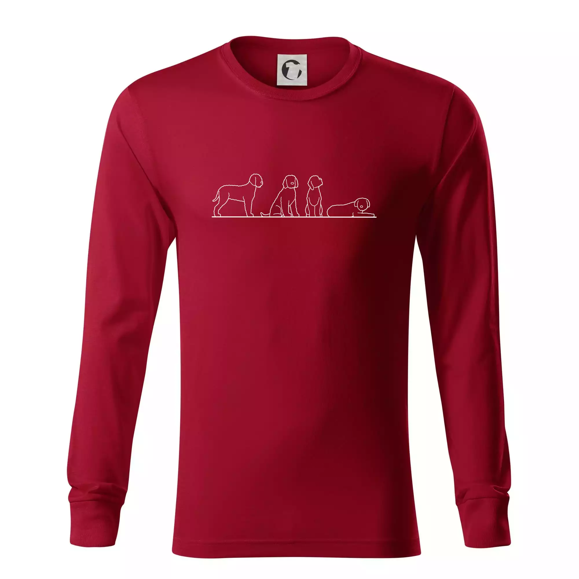 Lagotto romagnolo postavy linka