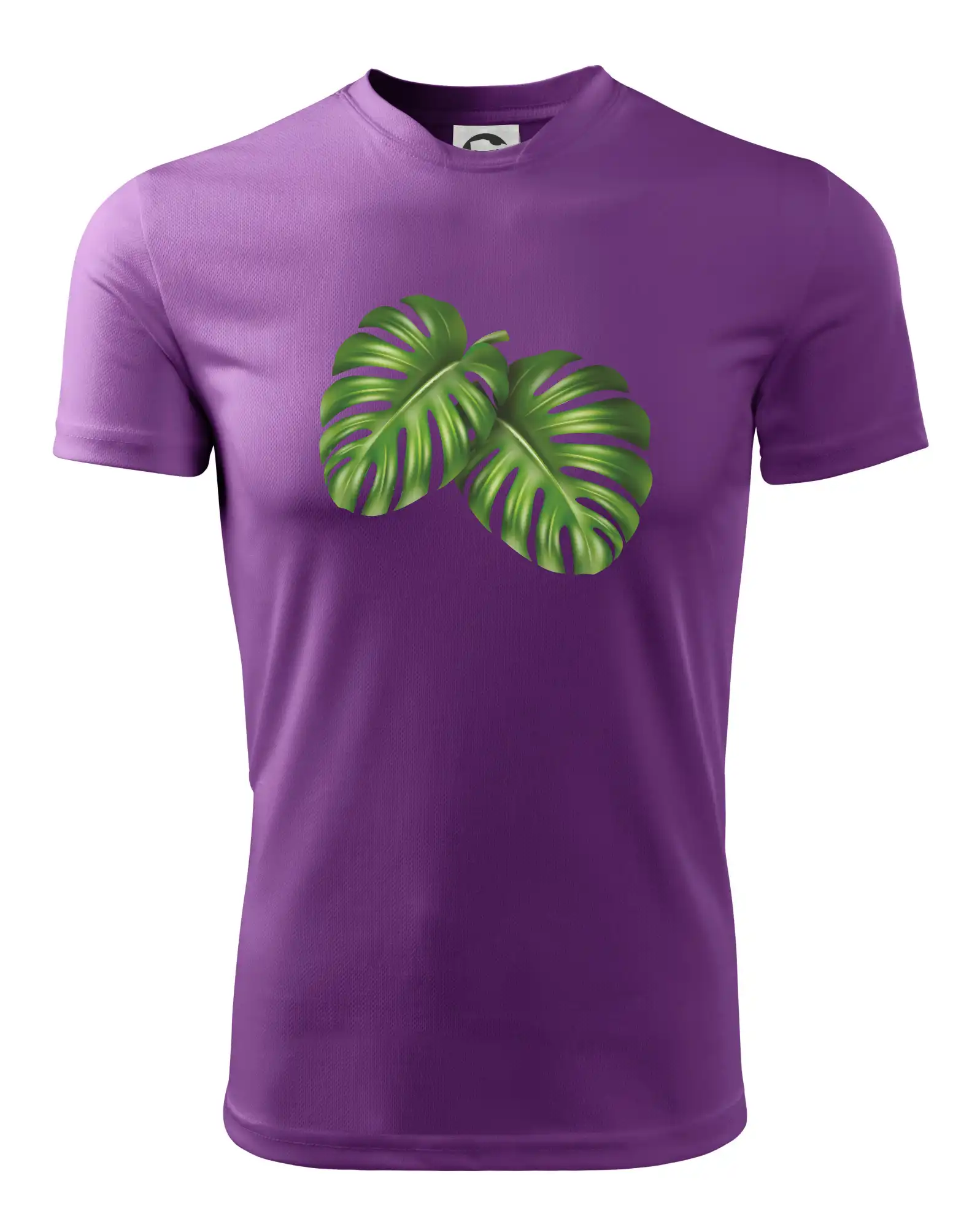 Monstera - dva listy